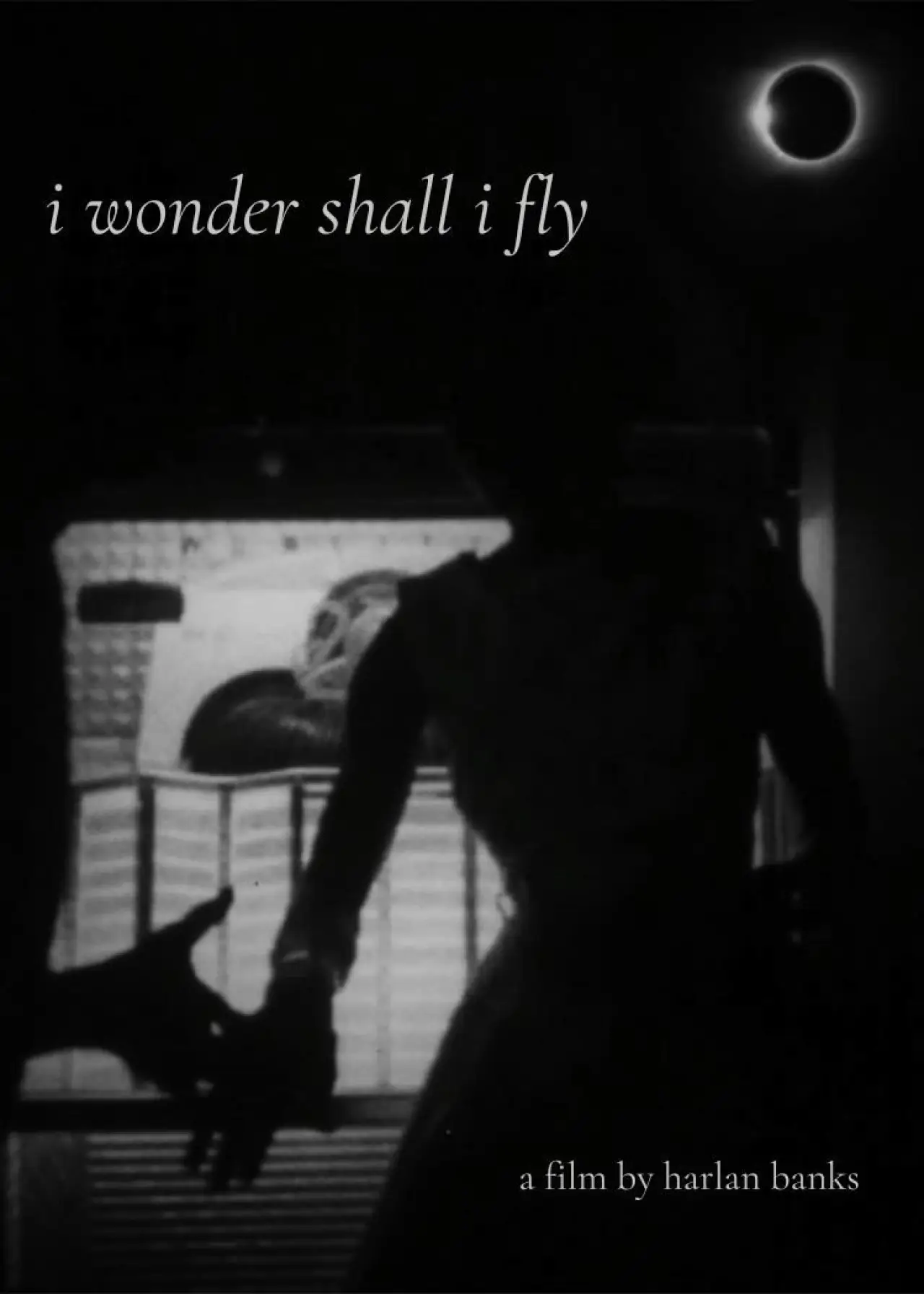 Movie poster "i wonder shall i fly"