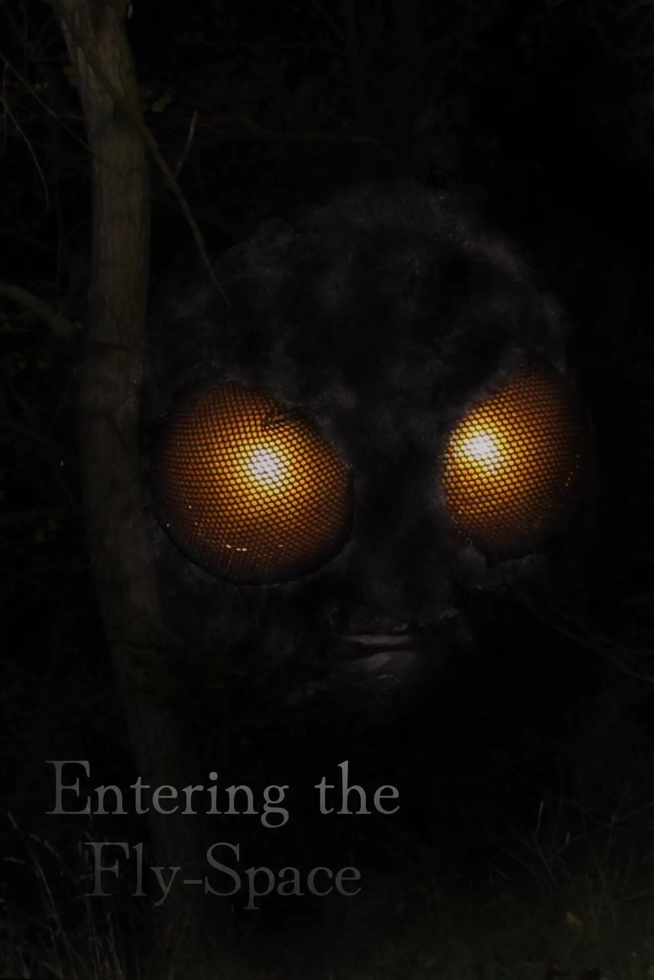 Movie poster "Entering the Fly-Space"