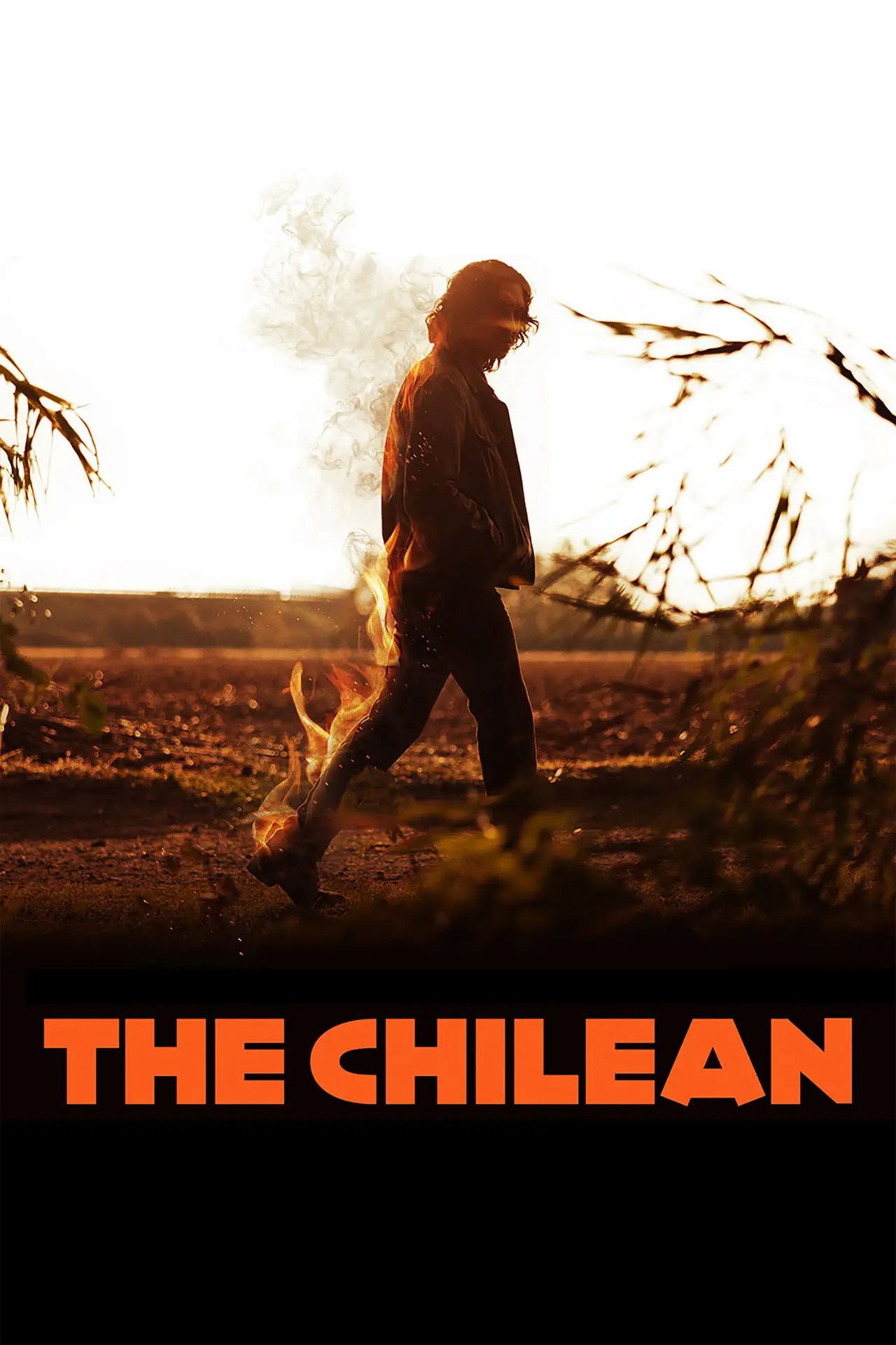 Movie poster "The Chilean"