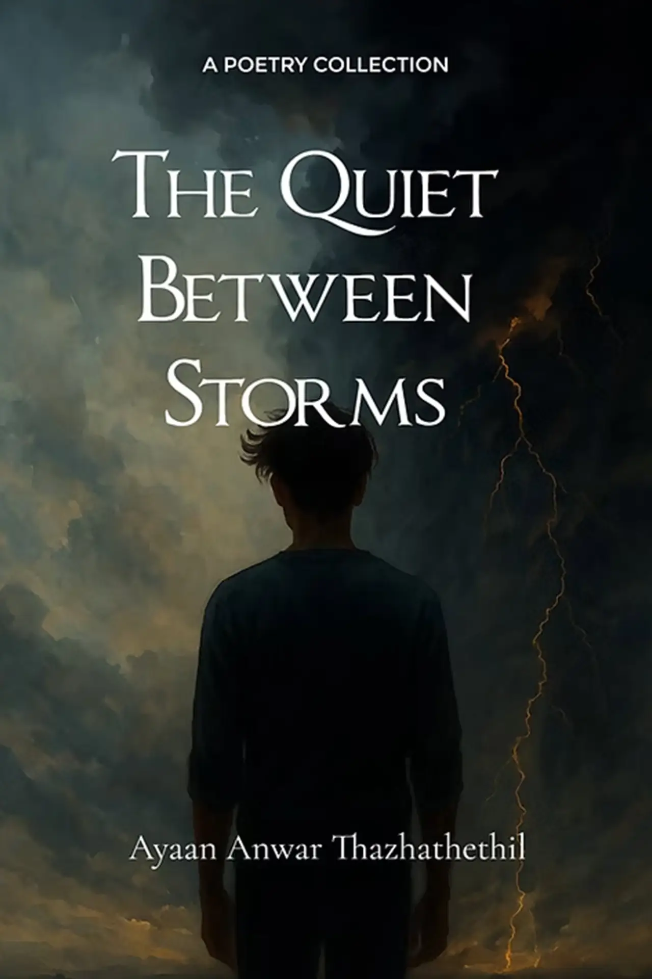 Movie poster "The Quiet Between Storms"