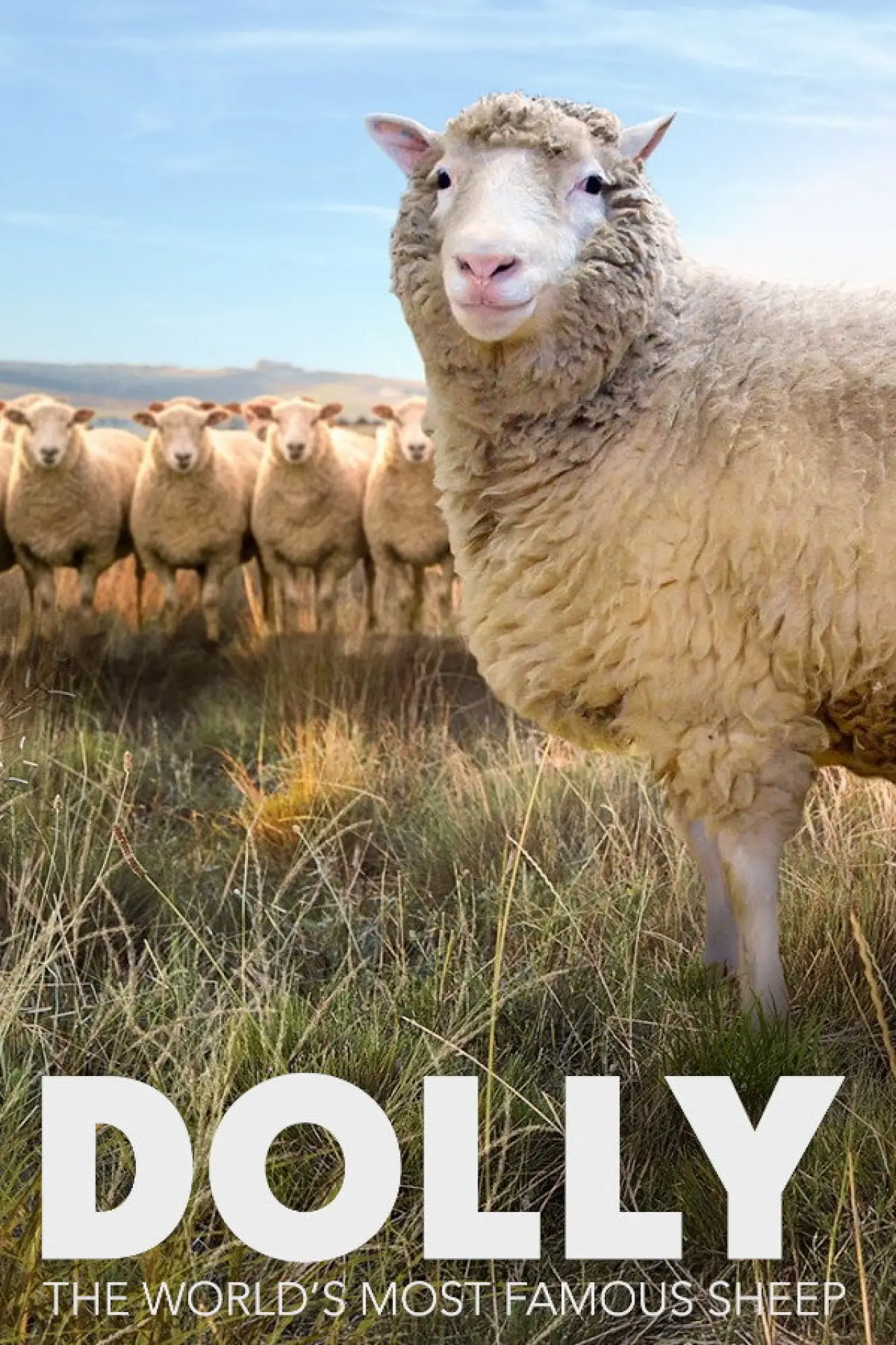 Movie poster "Dolly: The World
