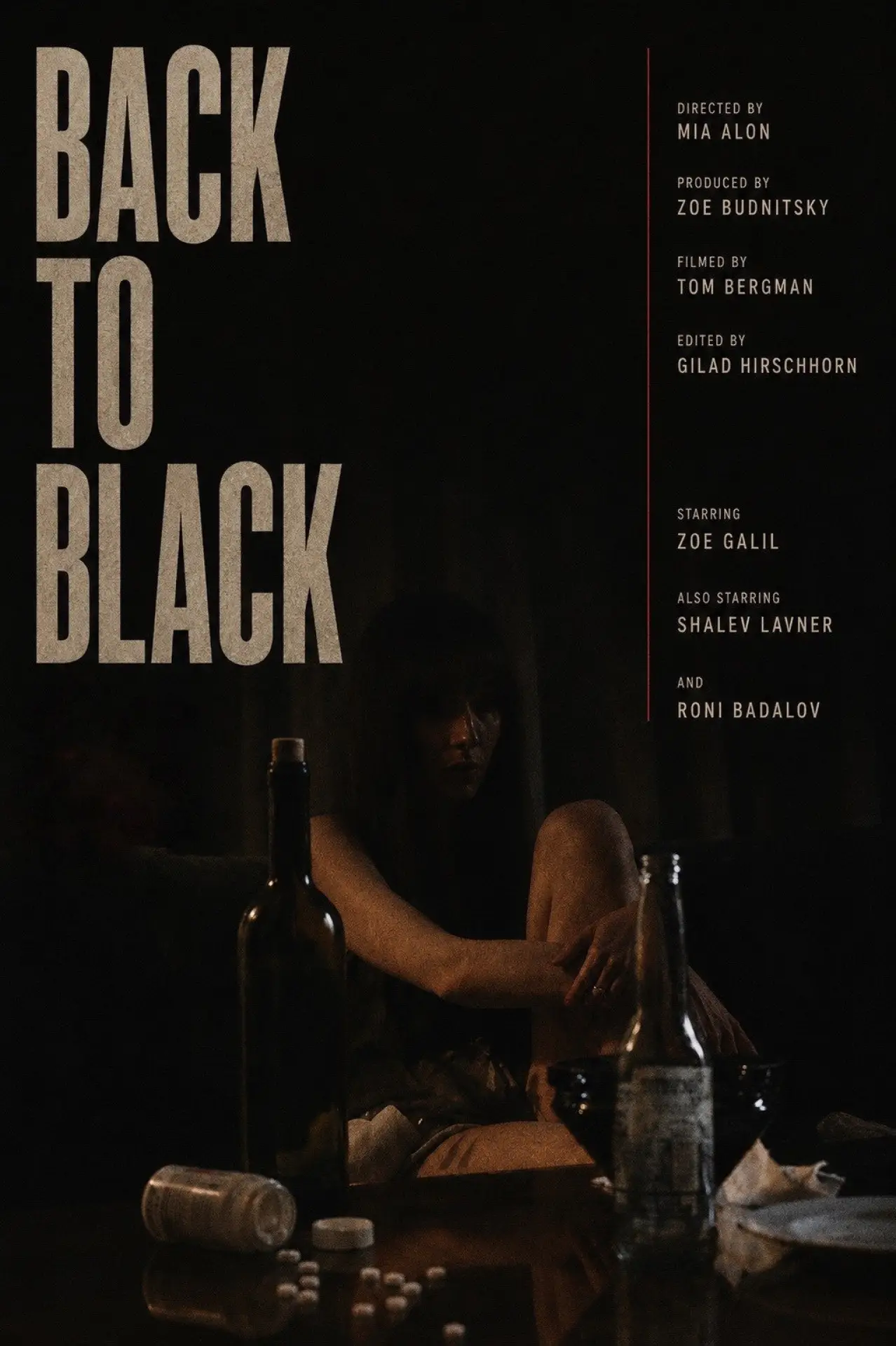 Movie poster "Back To Black"