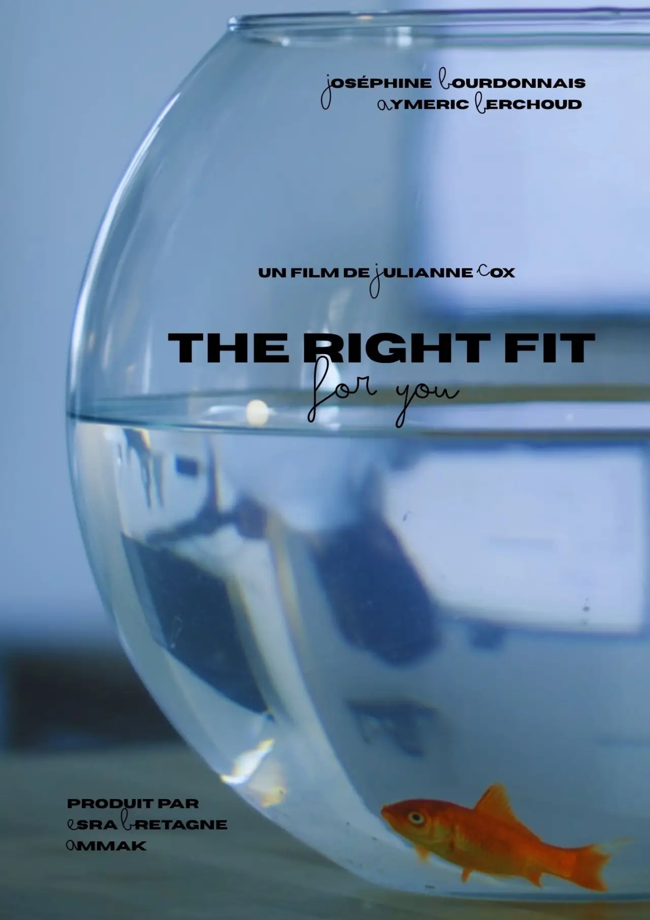 Movie poster "The Right Fit For You"