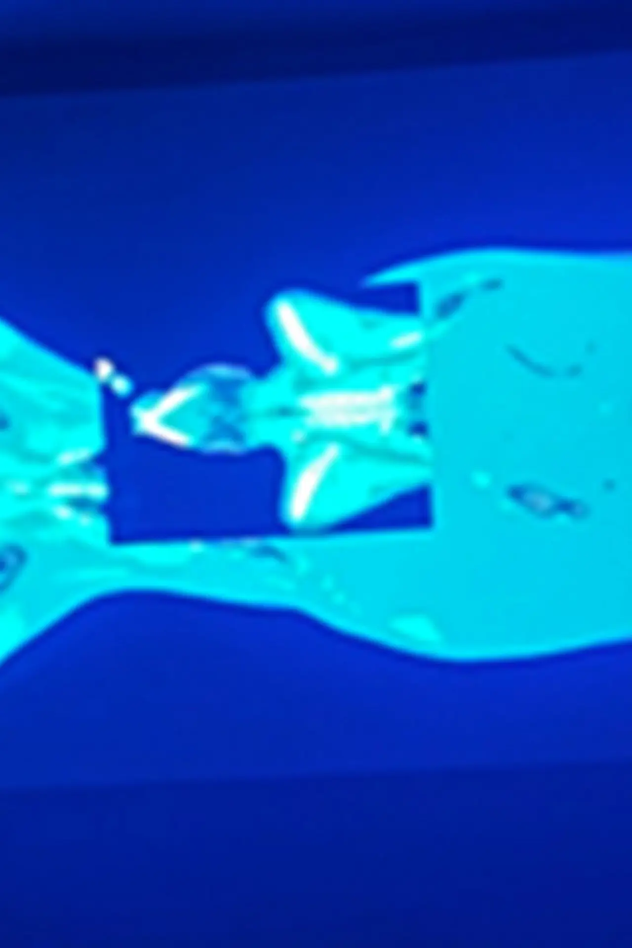 Movie poster "X-Ray Katx"