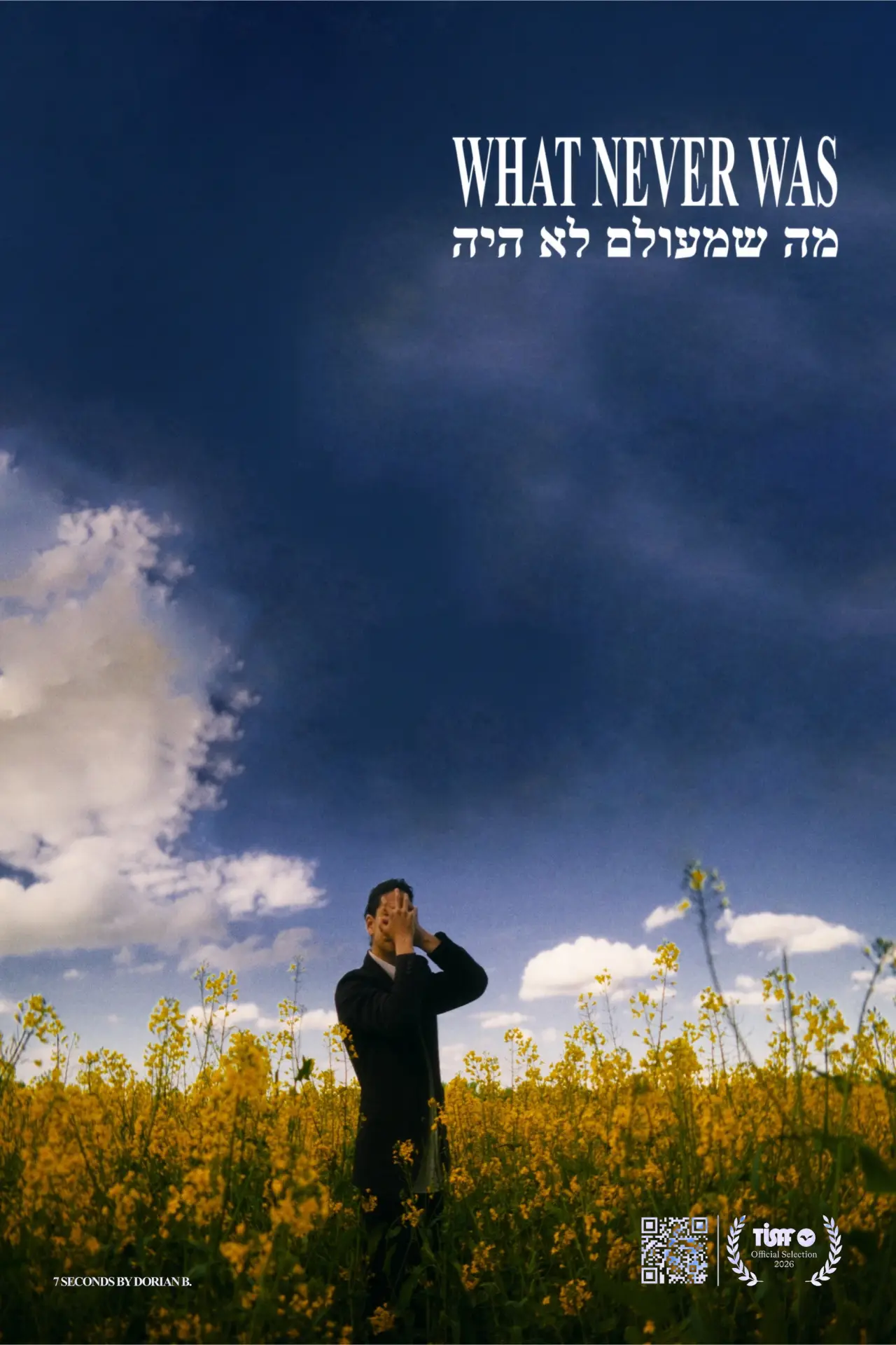 Movie poster "What Never Was"