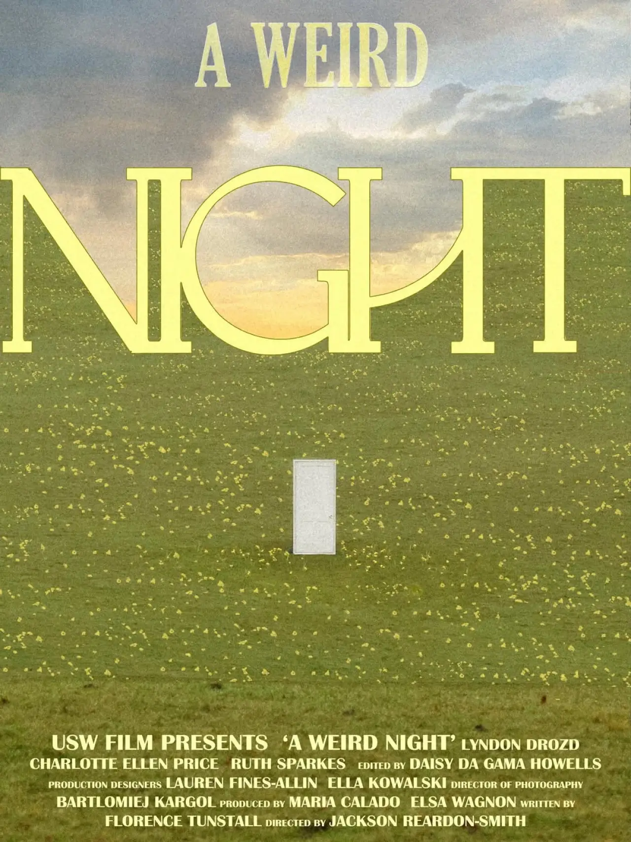 Movie poster "A Weird Night"