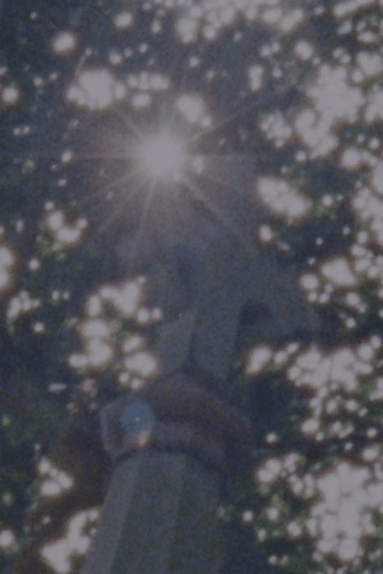 Movie poster "Sacred To The Memory Of"