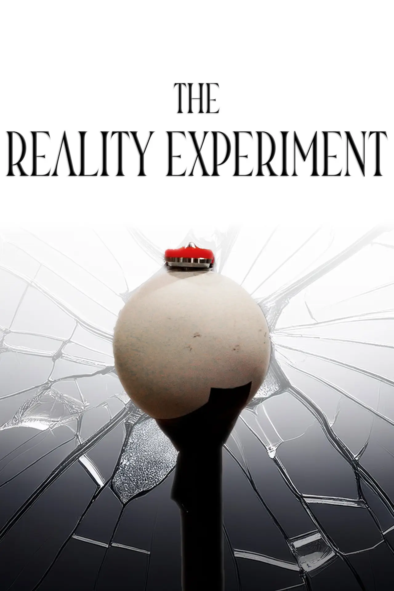 Movie poster "The Reality Experiment"