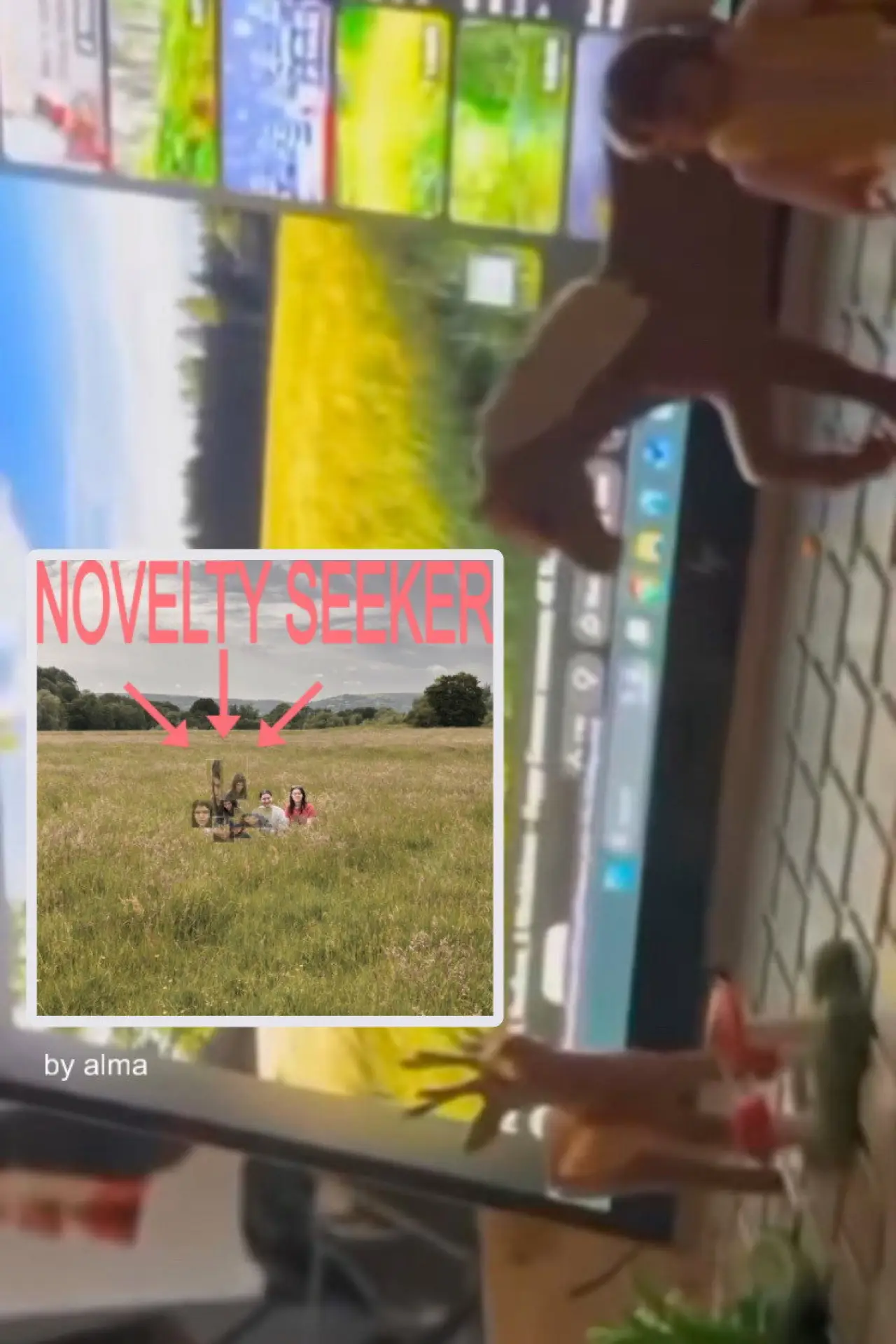 Movie poster "NOVELTY SEEKER"