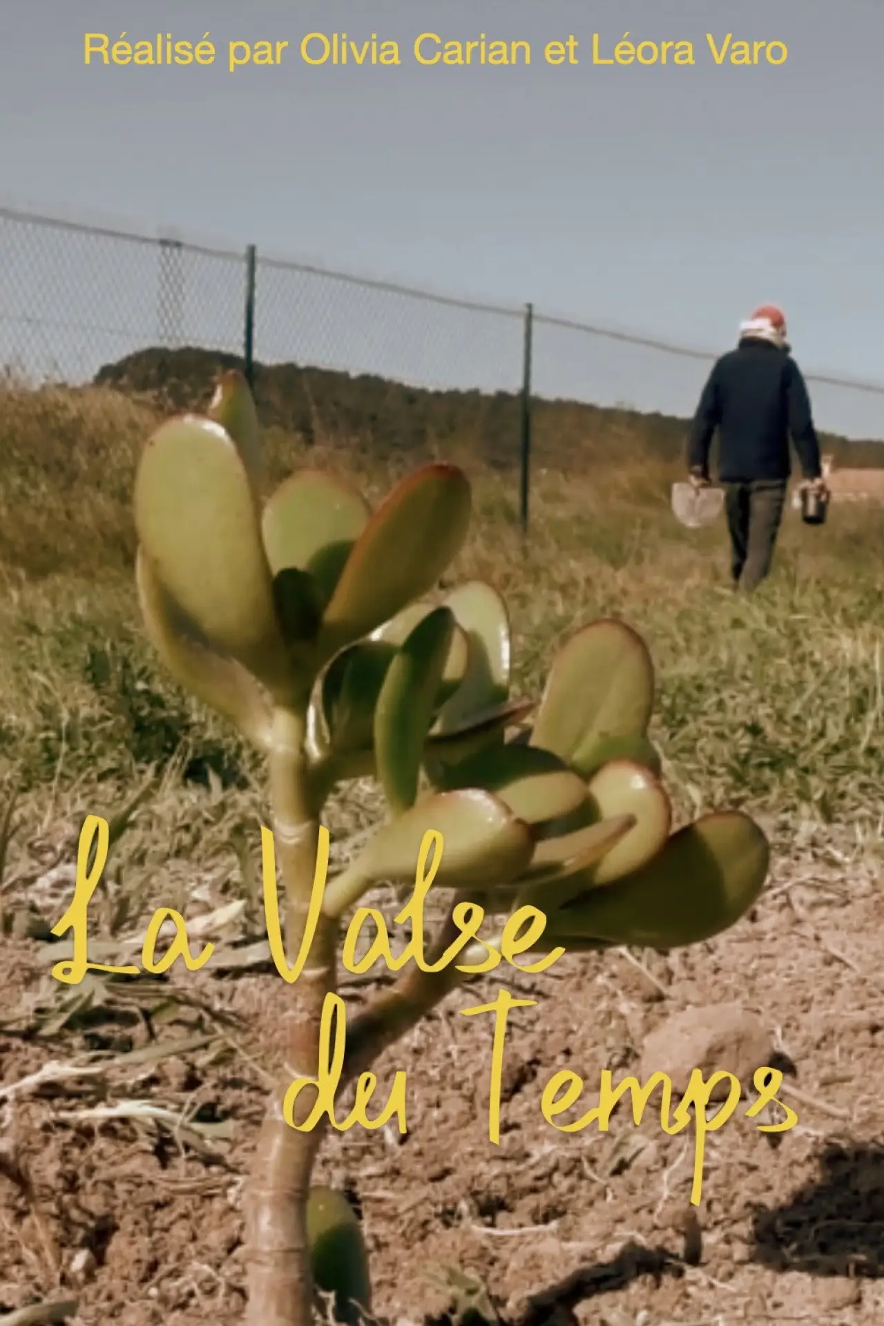 Movie poster "La Valse du Temps"