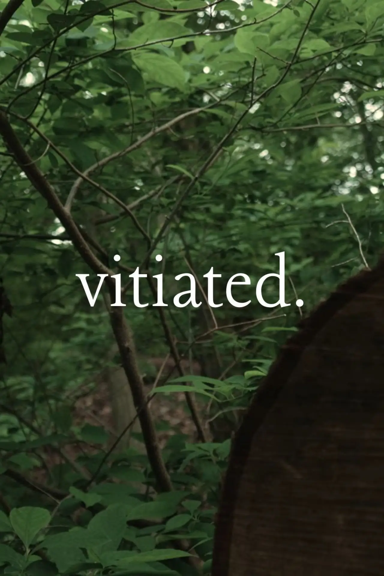 Movie poster "Vitiated"