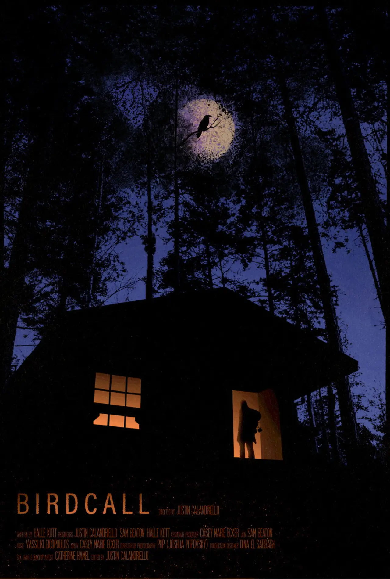 Movie poster "Birdcall"