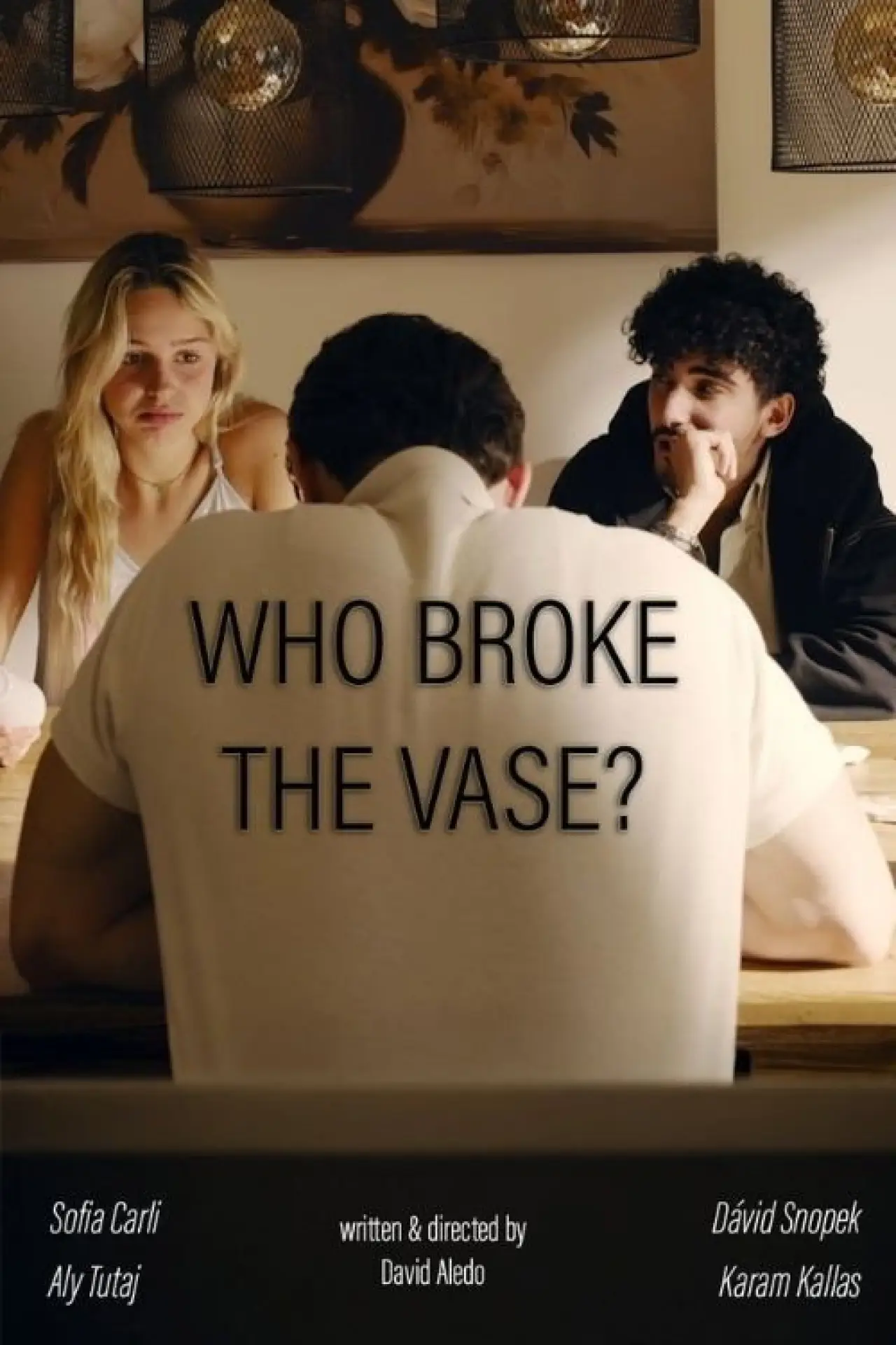 Movie poster "Who broke the vase?"