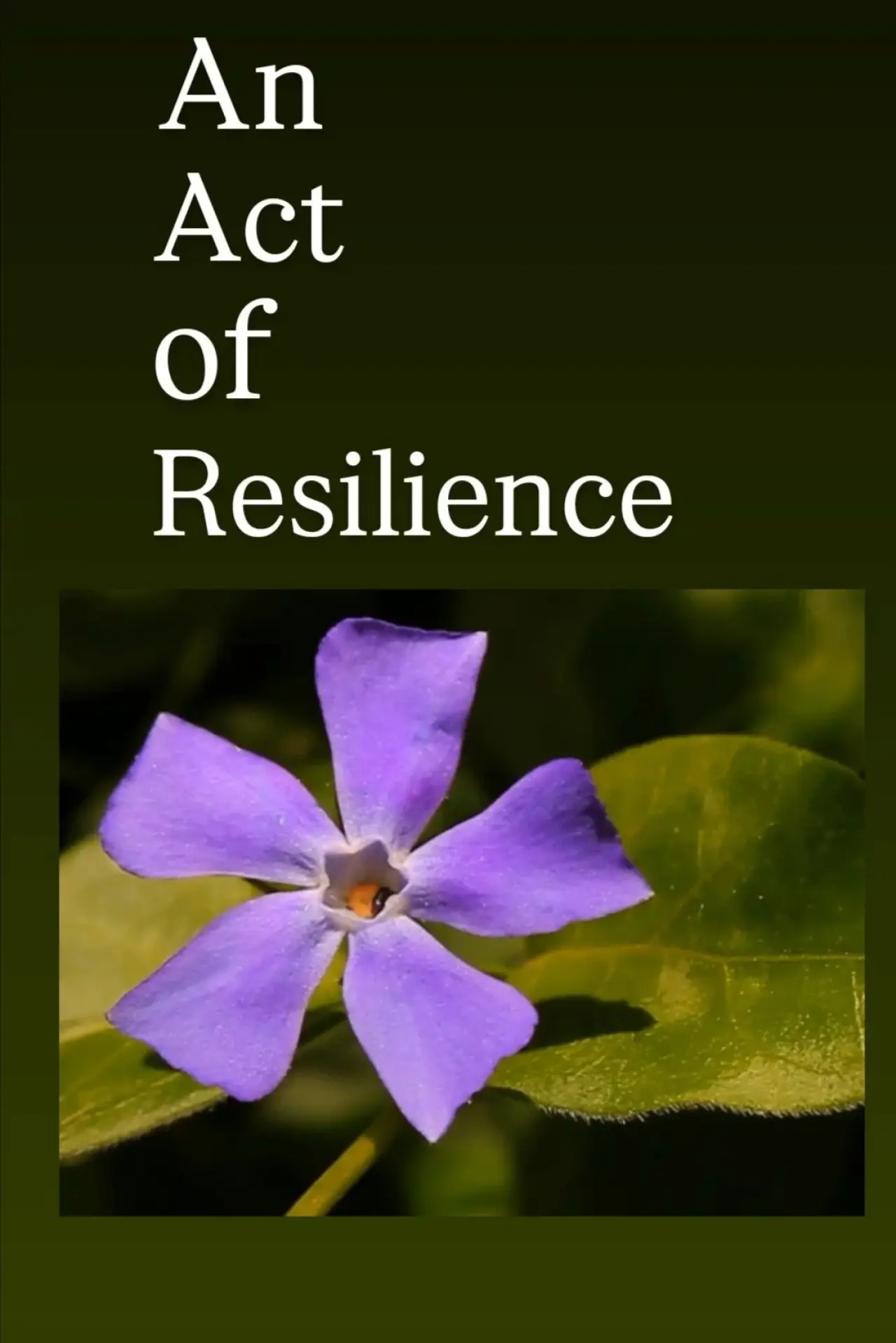 Movie poster "An Act of Resilience"
