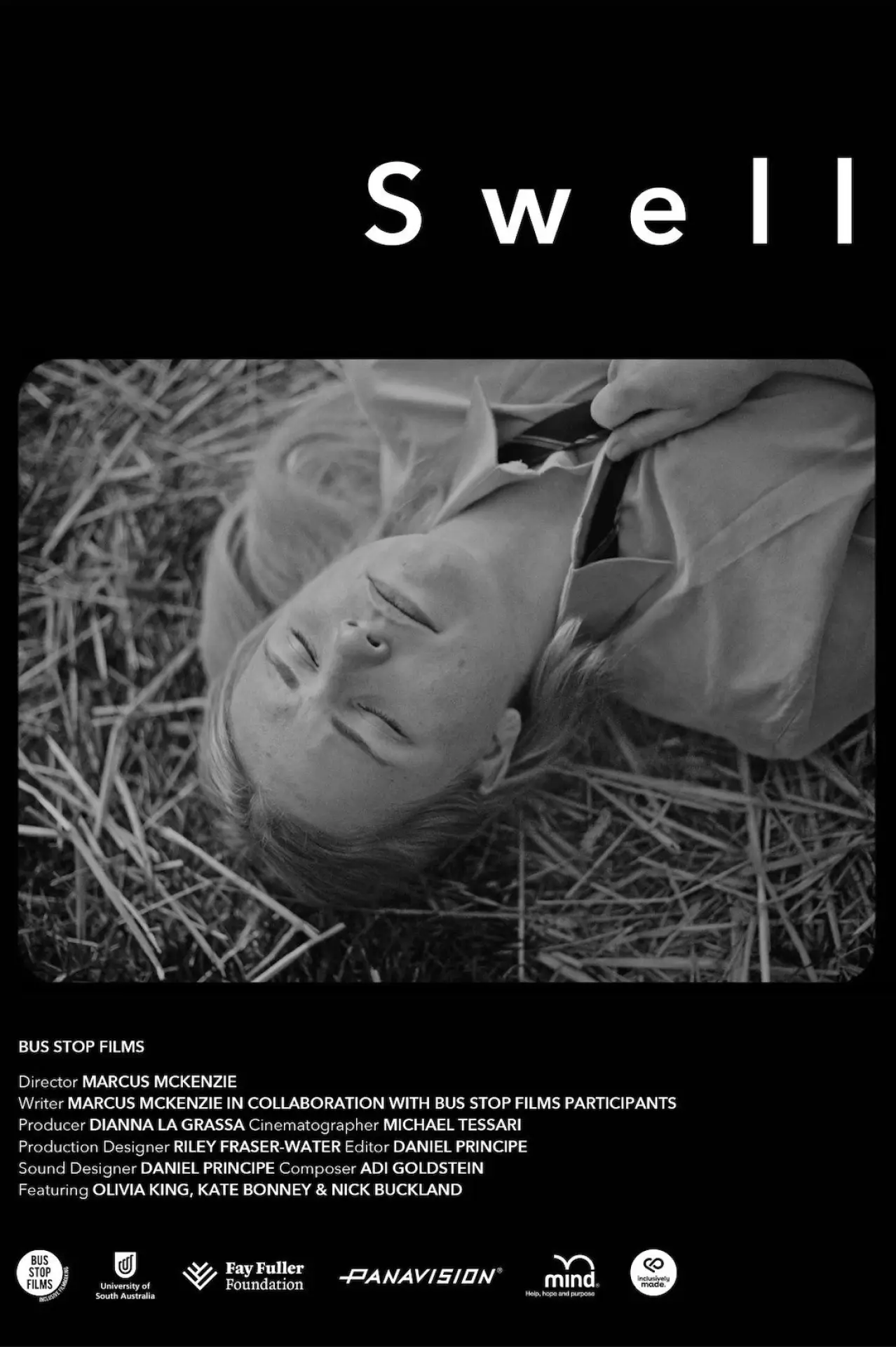 Movie poster "Swell"