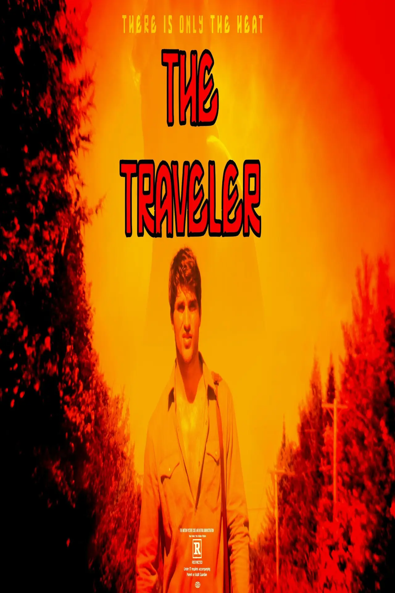 Movie poster "The Traveler"