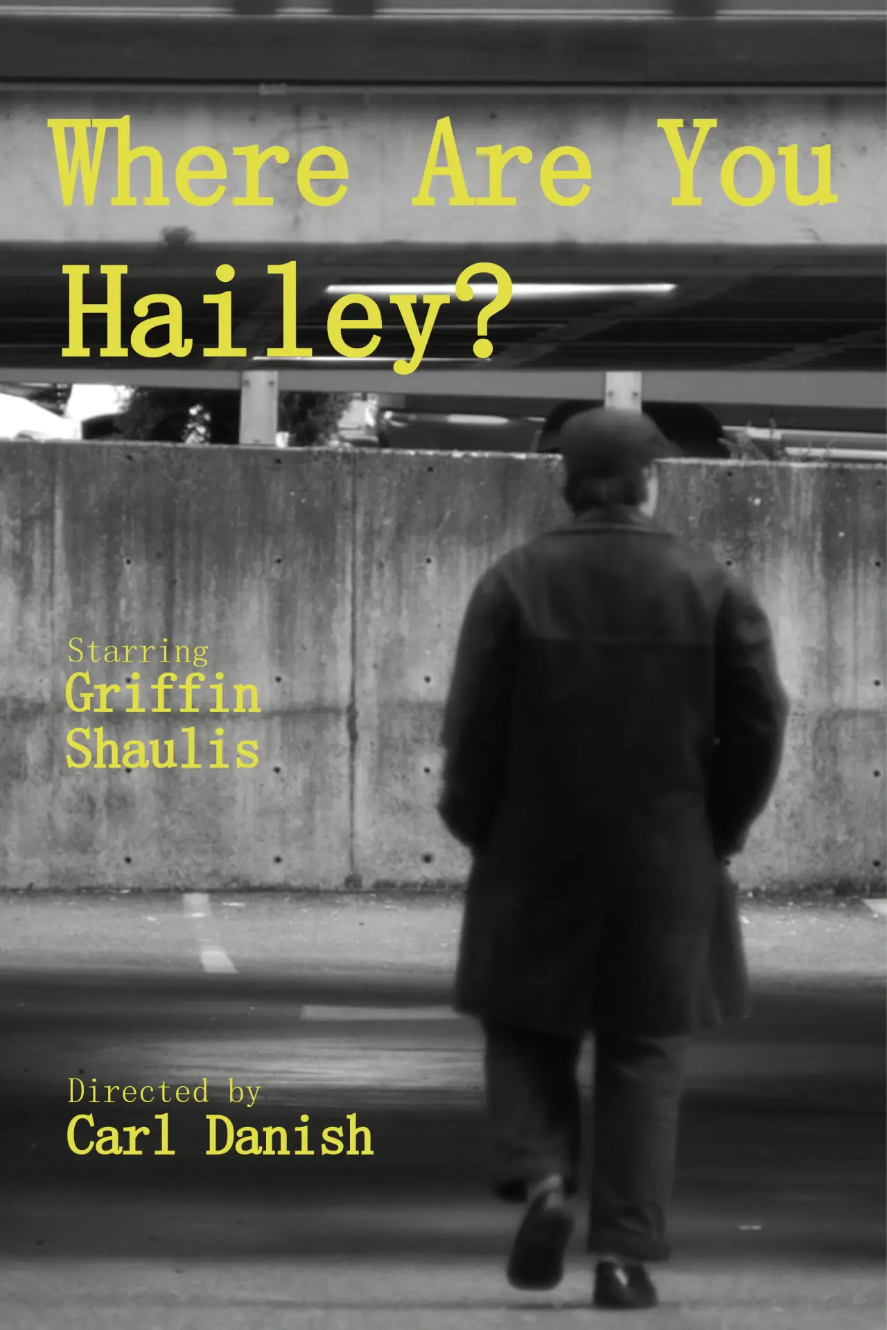 Movie poster "Where Are You Hailey?"