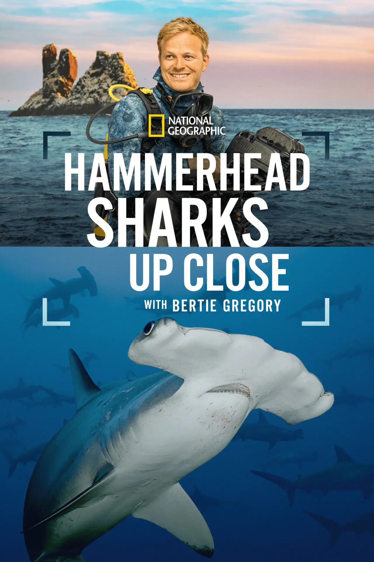 Movie poster "Hammerhead Sharks Up Close with Bertie Gregory"