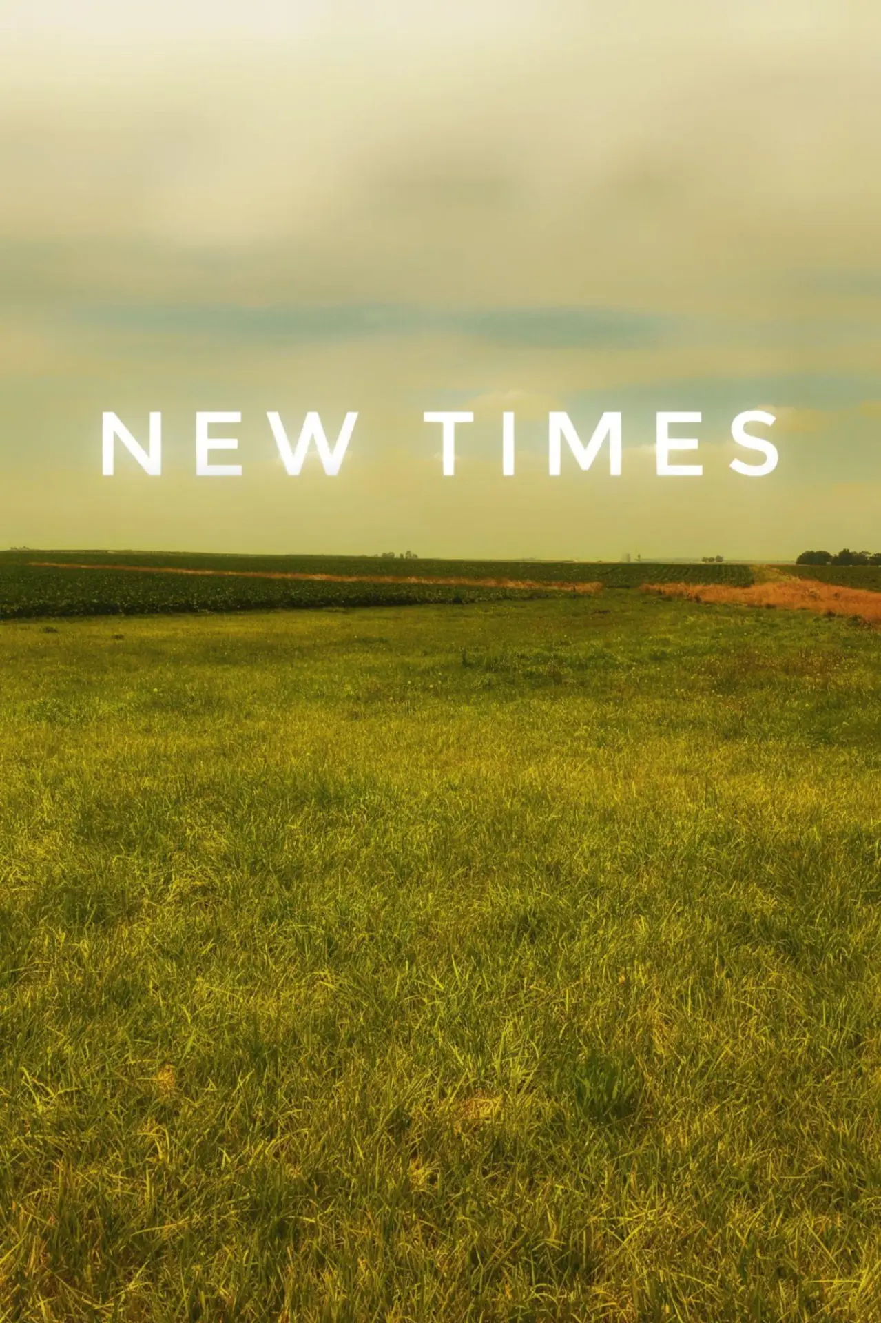 Movie poster "New Times"