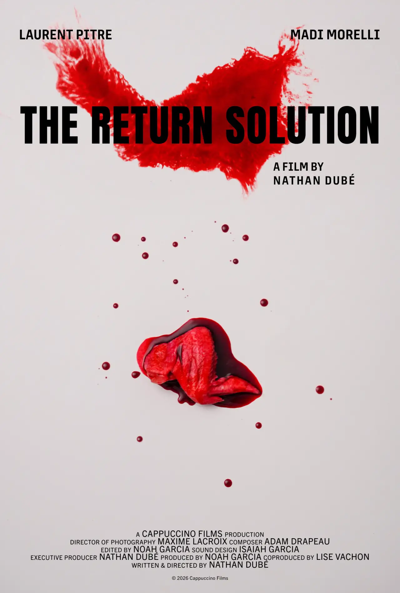 Movie poster "The Return Solution"