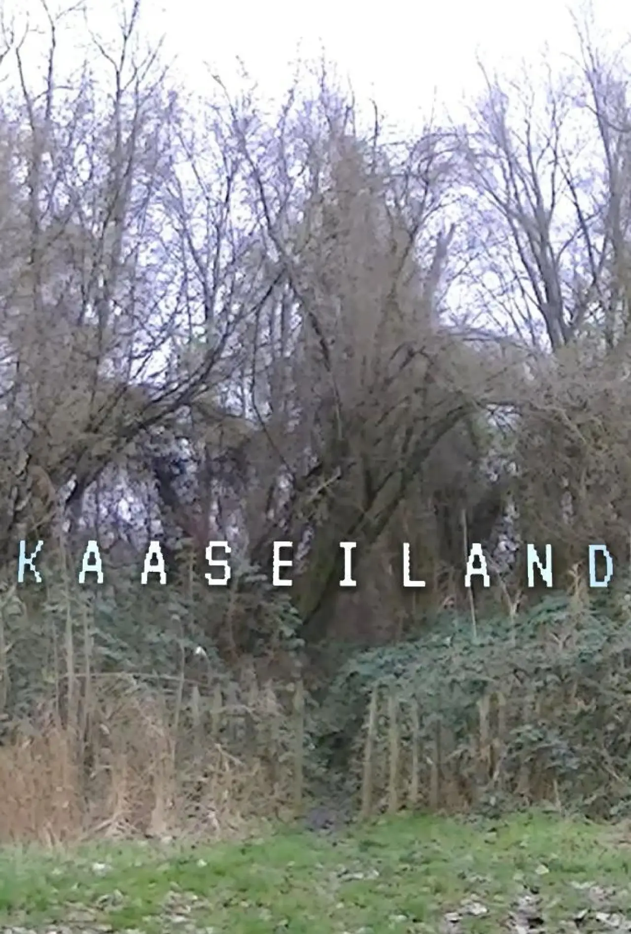 Movie poster "Kaaseiland"