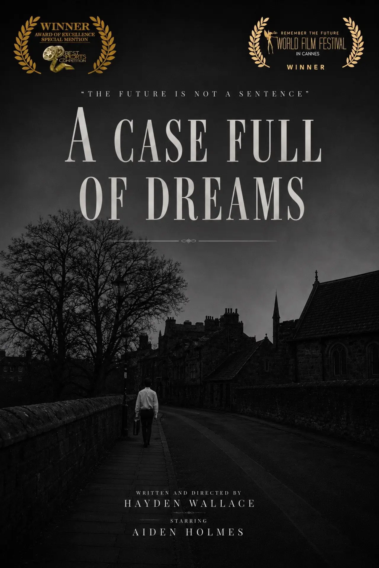Movie poster "A Case Full Of Dreams"