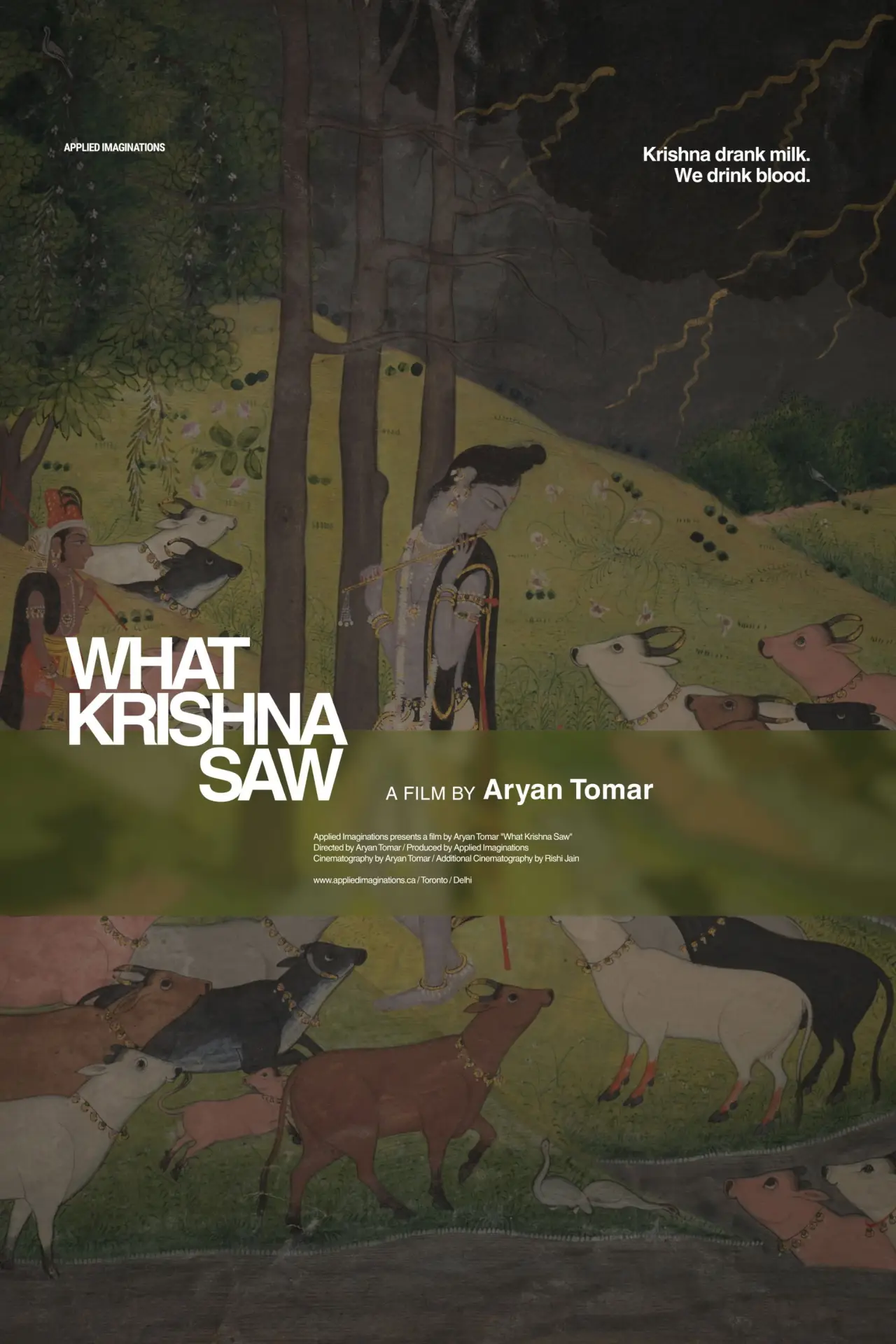 Movie poster "What Krishna Saw"