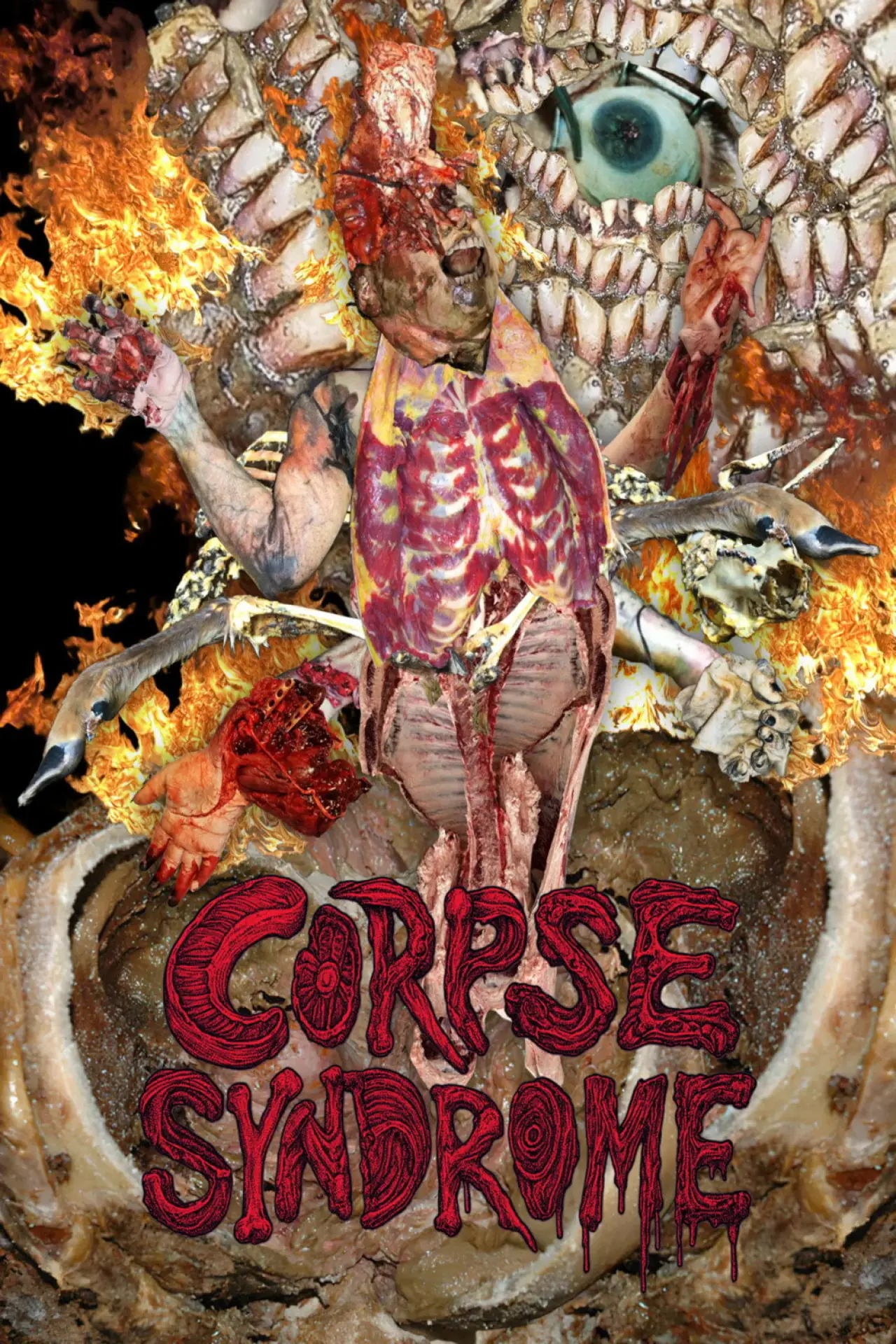 Movie poster "Corpse Syndrome"