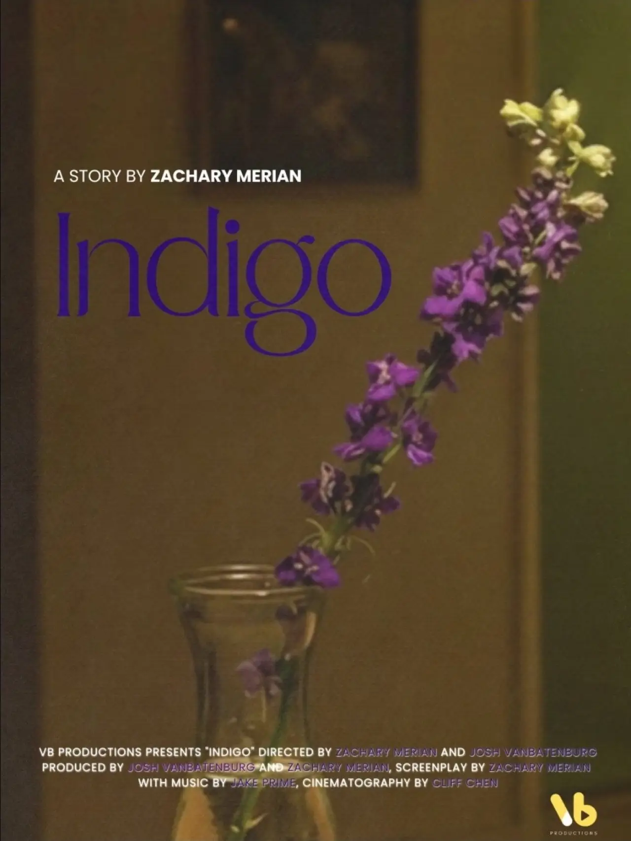 Movie poster "INDIGO"