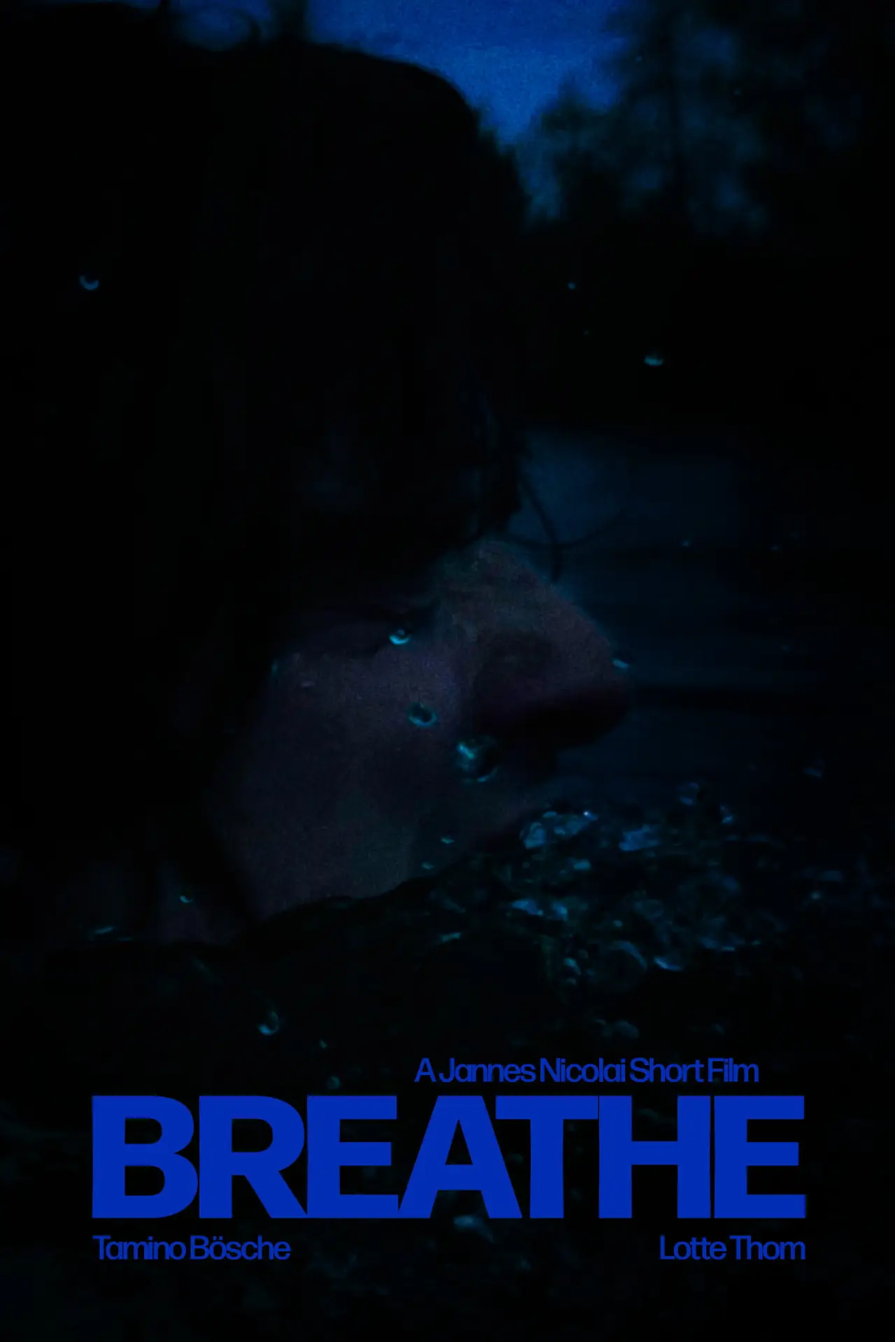 Movie poster "Breathe"
