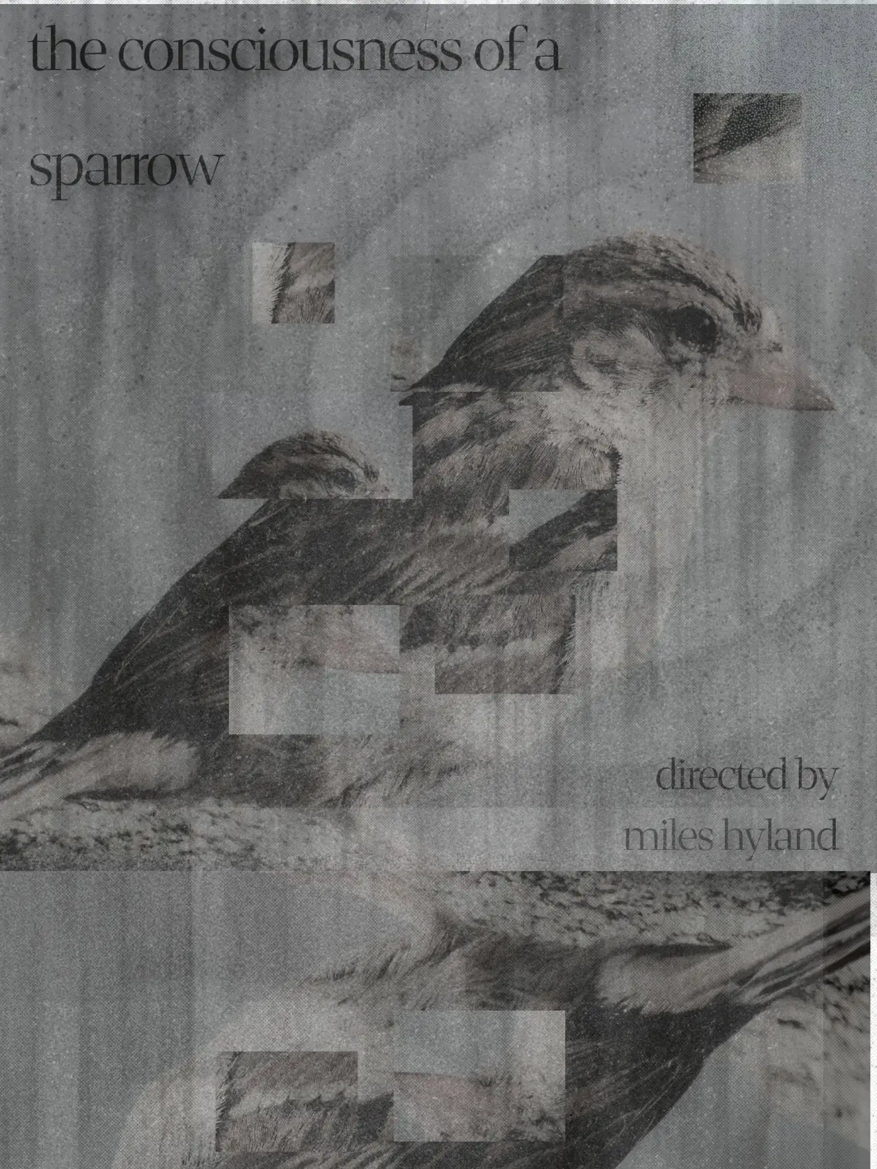 Movie poster "The Consciousness of a Sparrow"