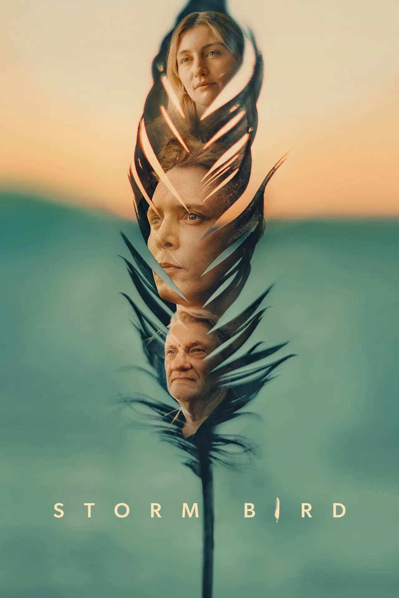 Movie poster "Storm Bird"