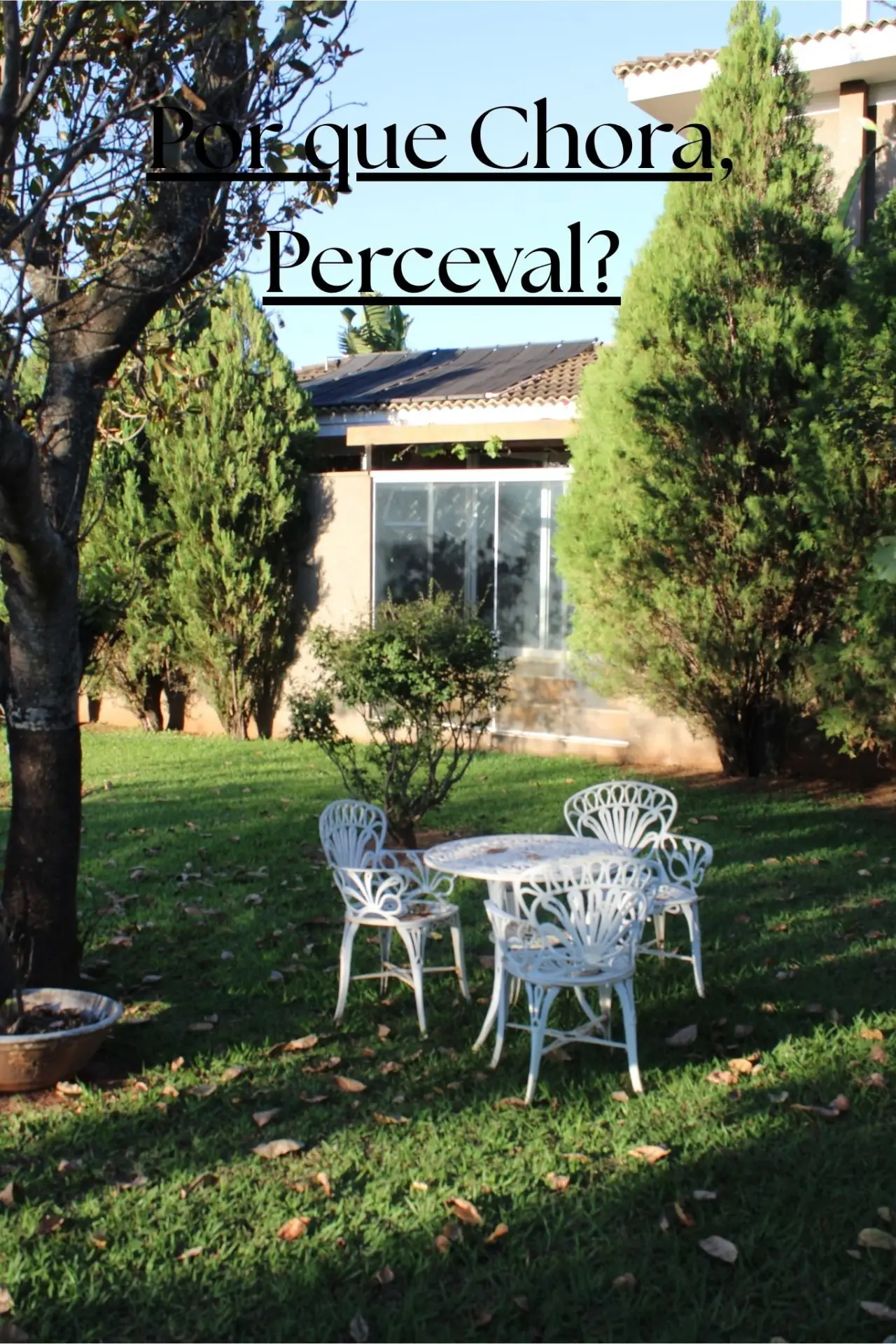 Movie poster "Why do you Cry, Perceval?"