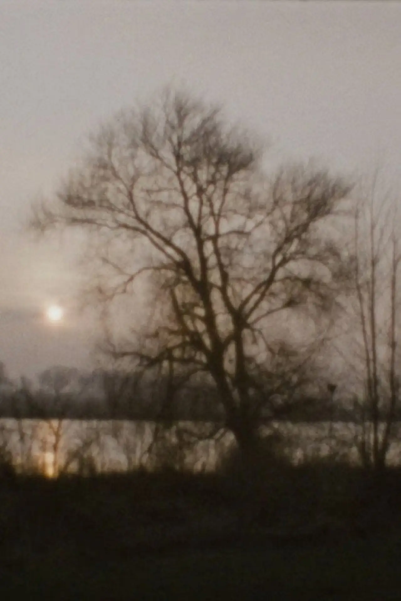 Movie poster "Landscape as Landscape - 27"
