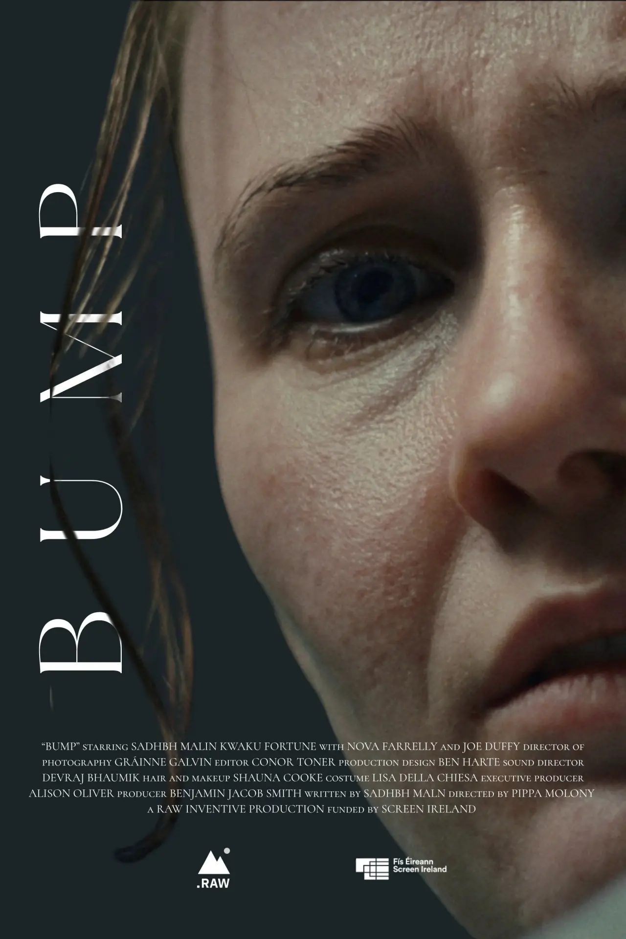Movie poster "Bump"