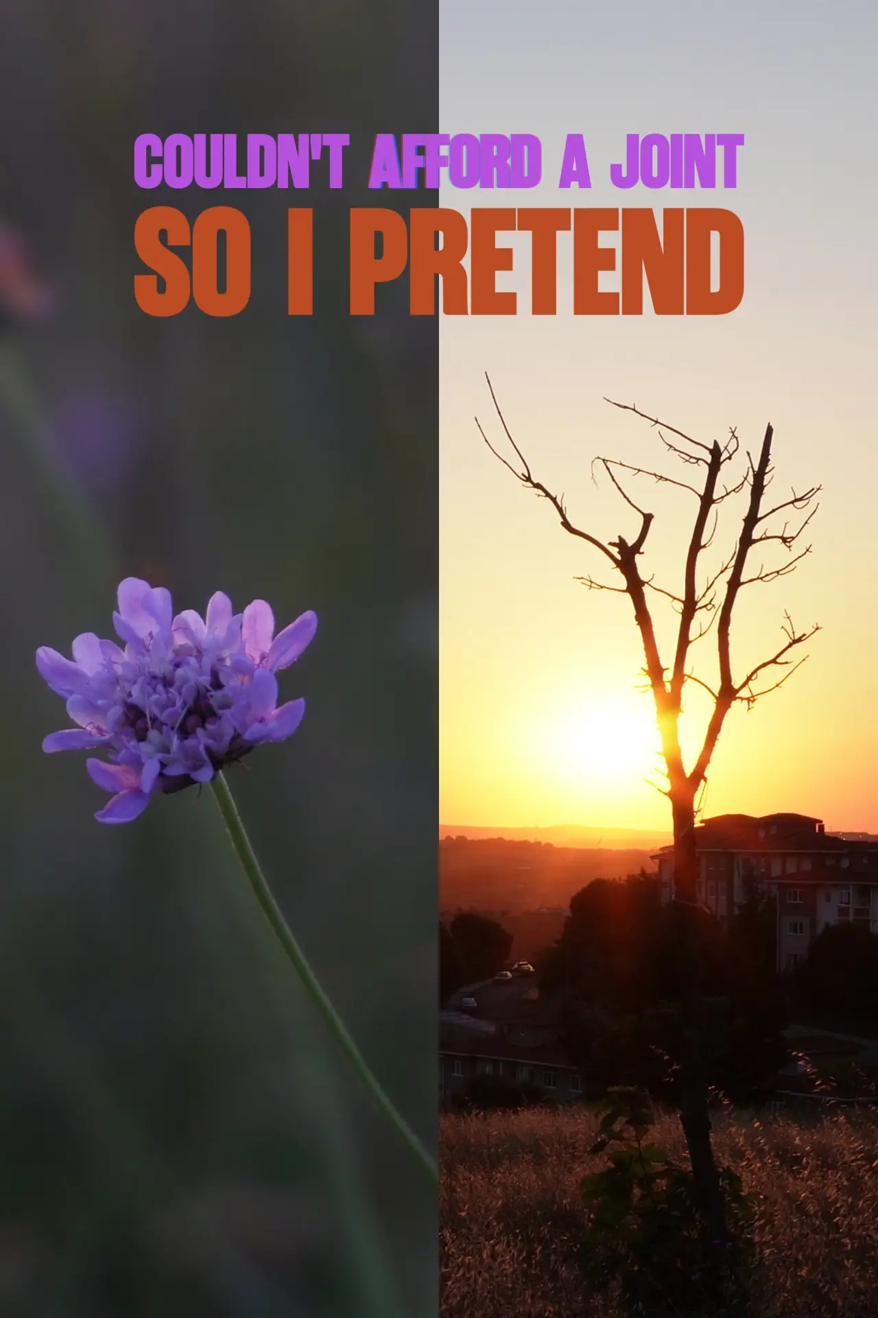 Movie poster "COULDN