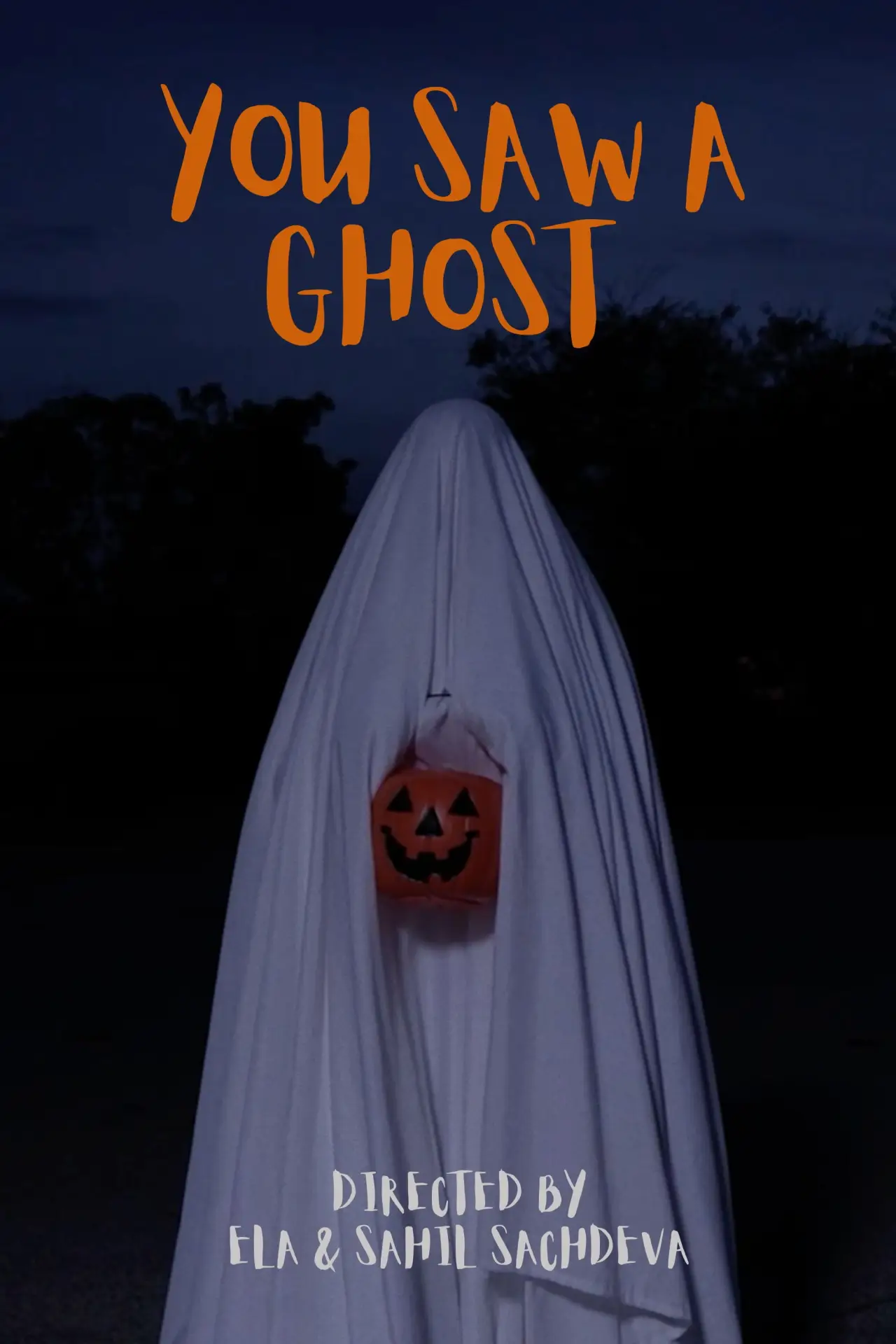 Movie poster "You Saw a Ghost"