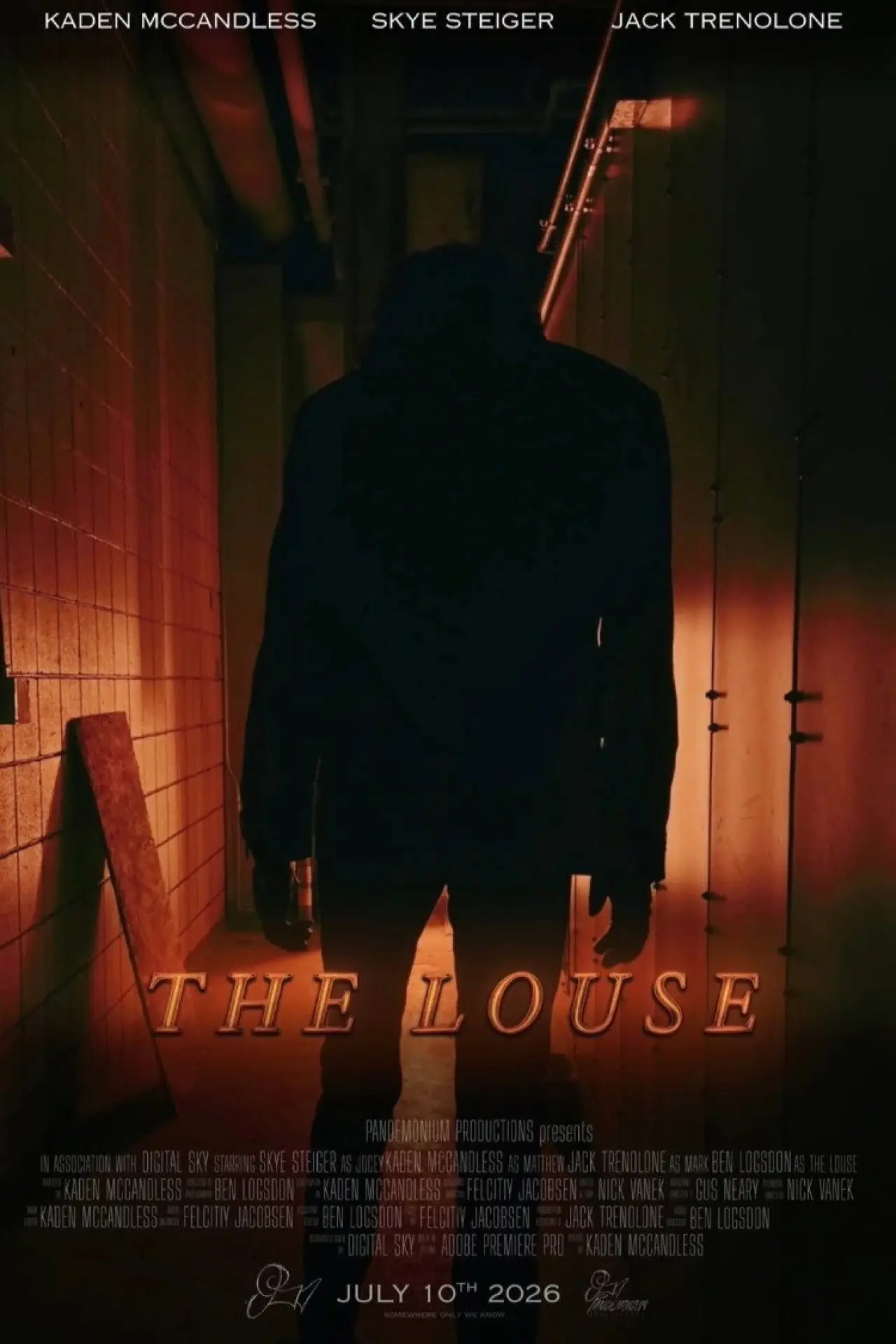 Movie poster "The Louse"