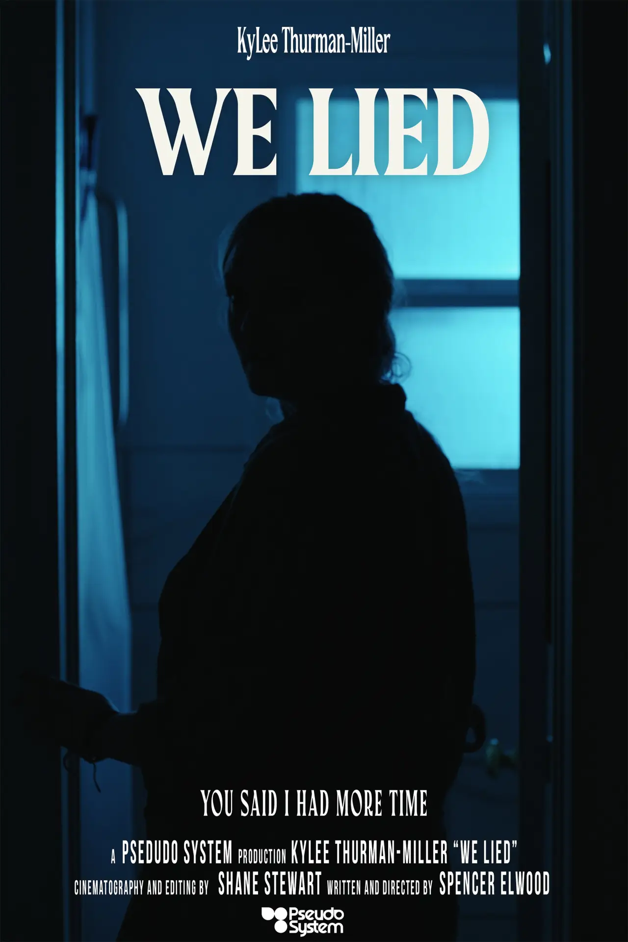 Movie poster "We Lied"