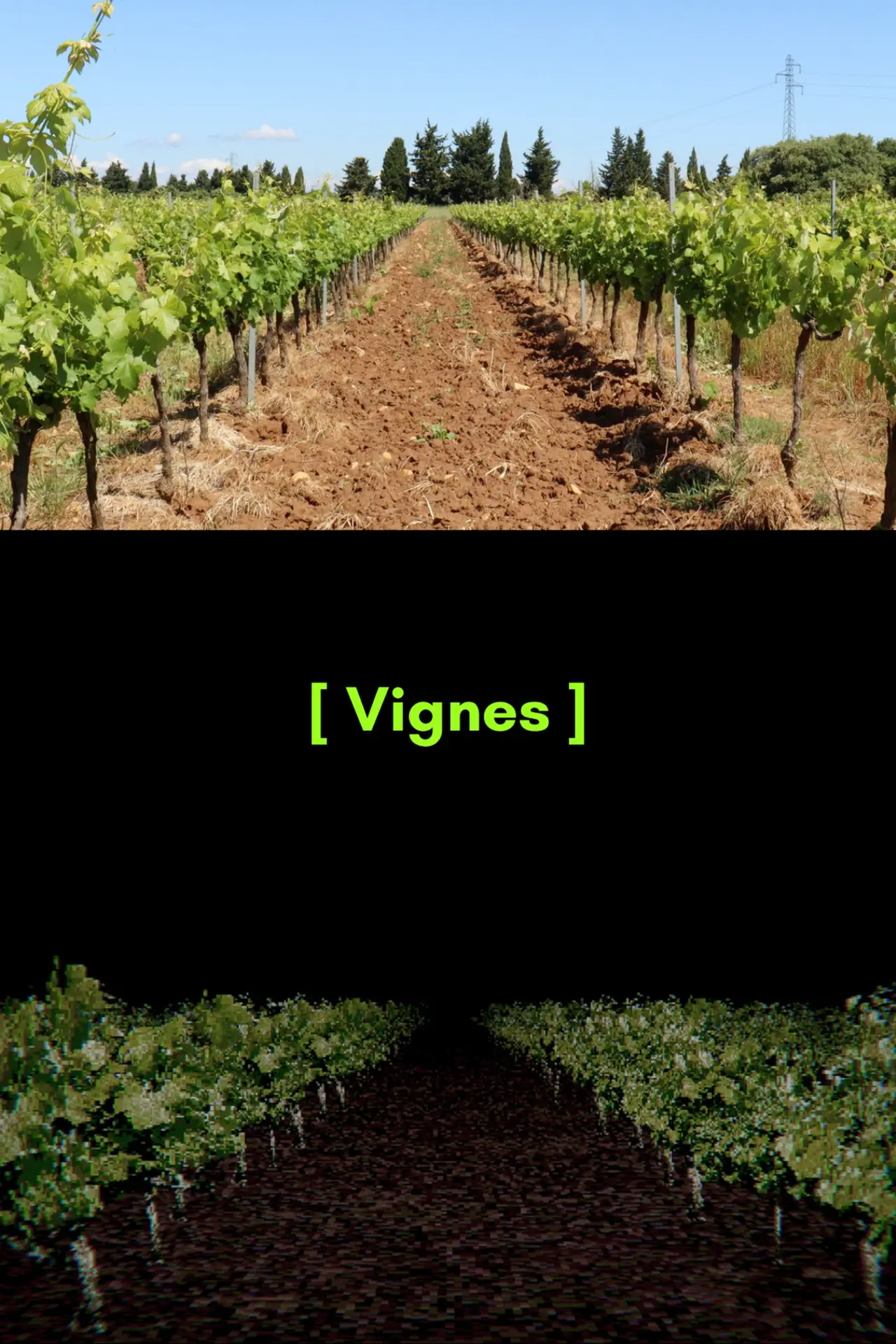 Movie poster "[ Vignes ]"