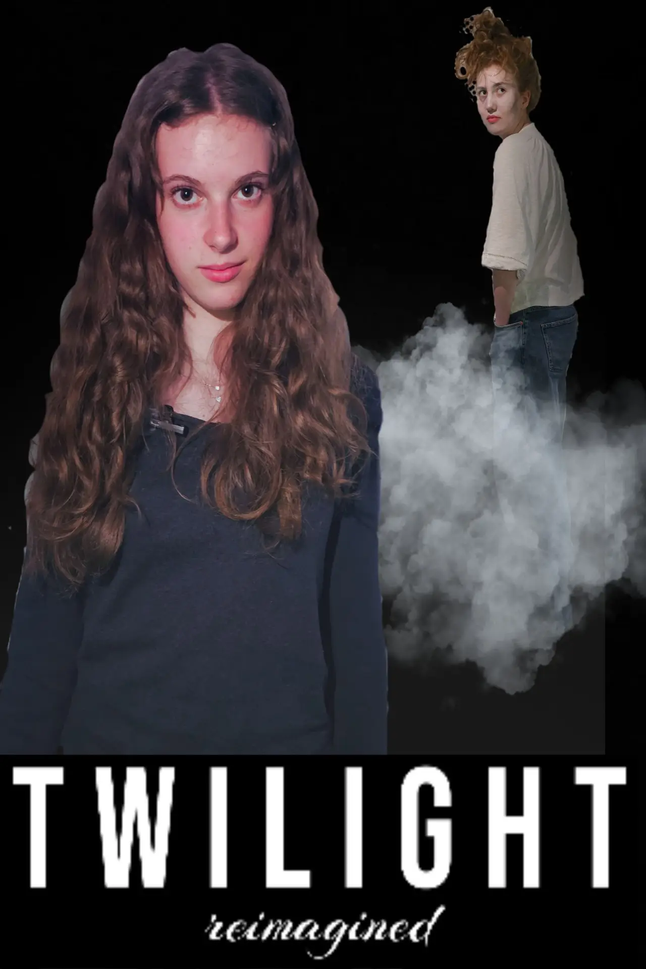 Movie poster "Twilight: reimagined"