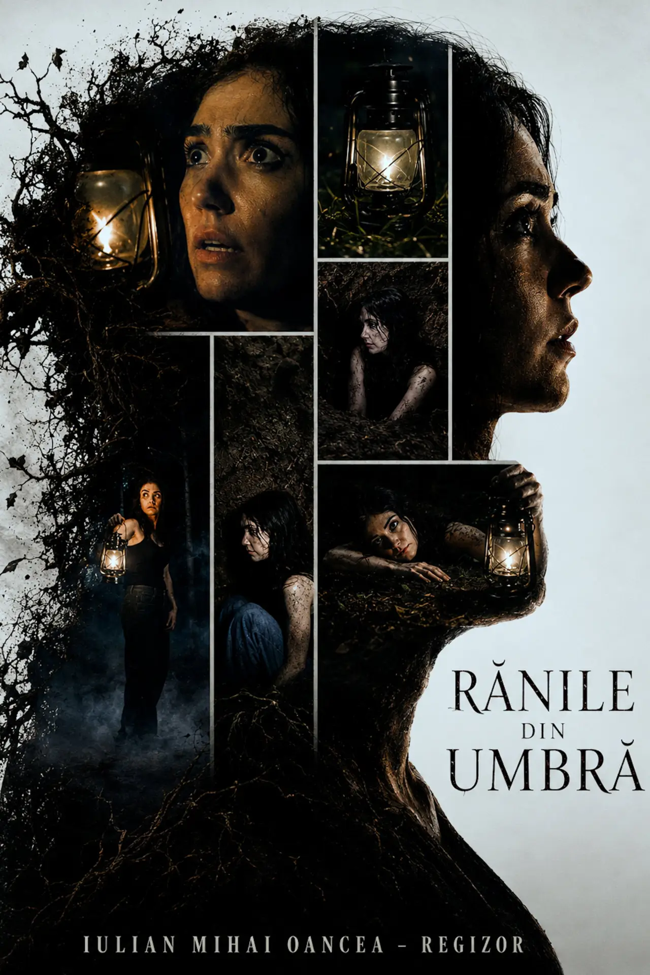 Movie poster "Shadow Wounds"