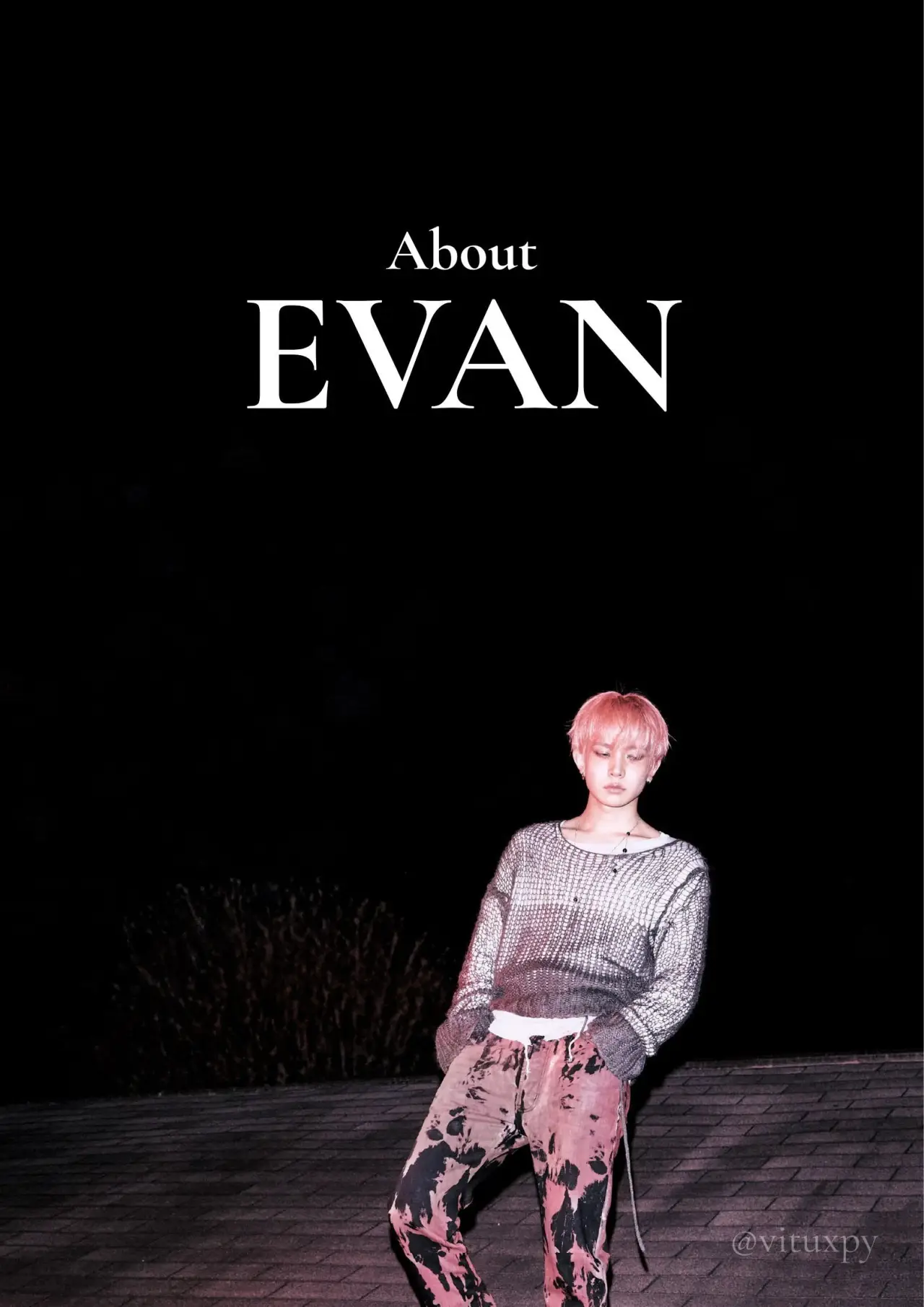 Movie poster "About EVAN"