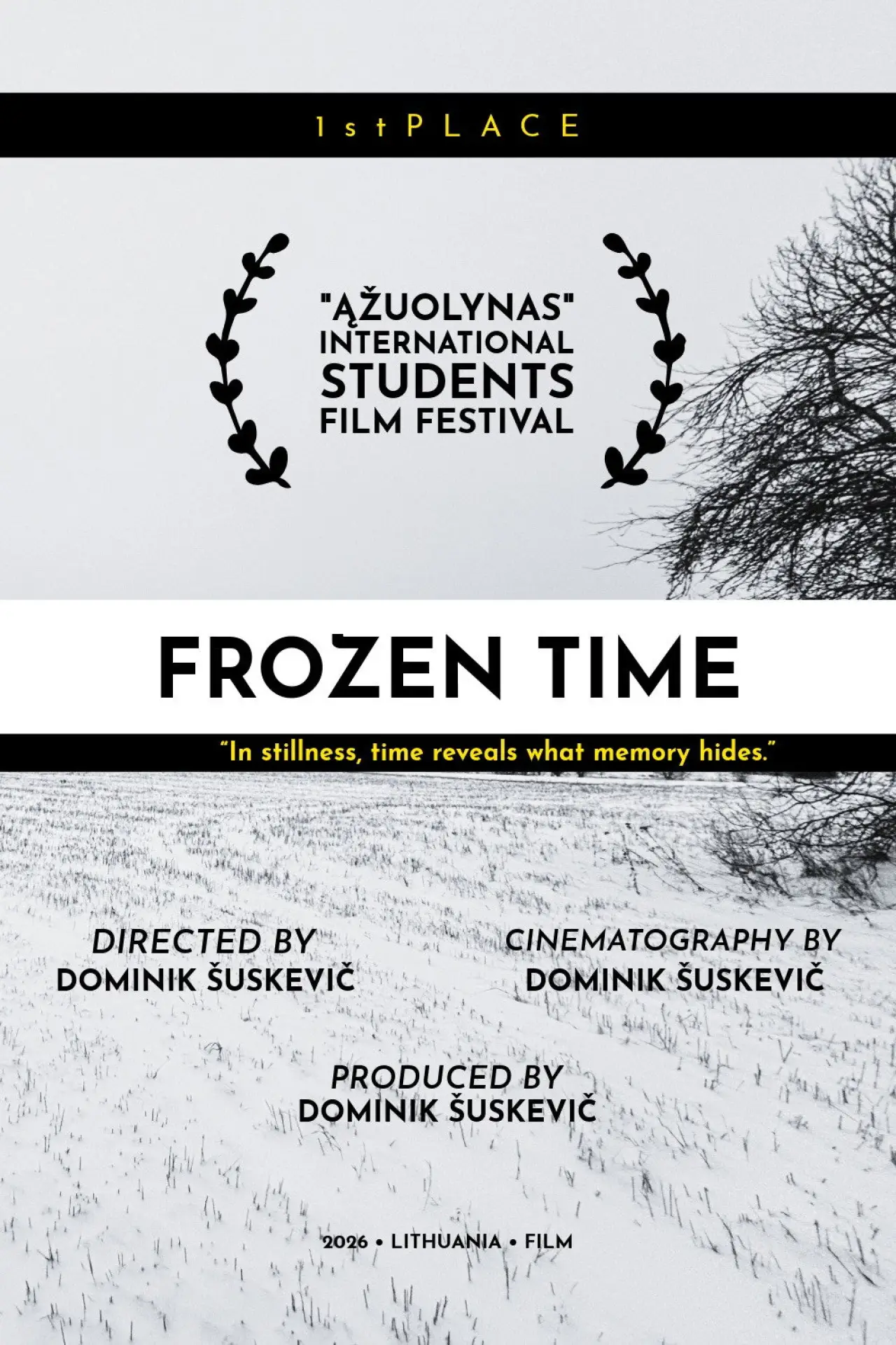 Movie poster "Frozen Time: What If"