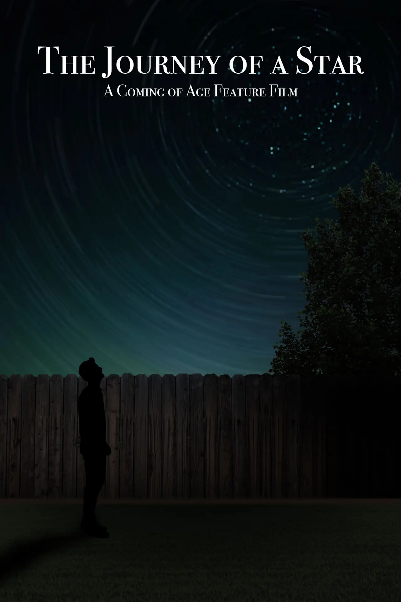 Movie poster "The Journey of a Star"