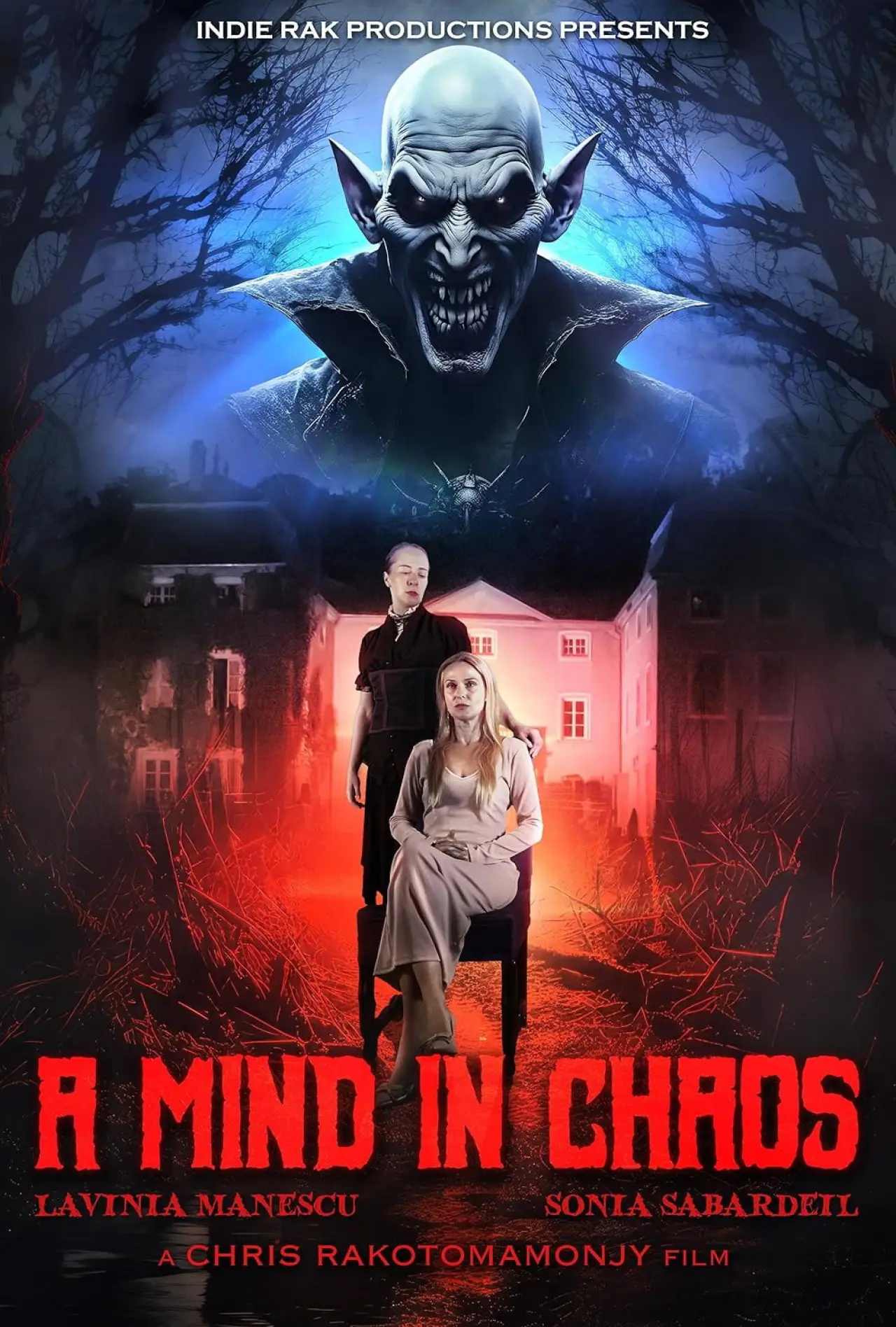 Movie poster "A Mind in Chaos"