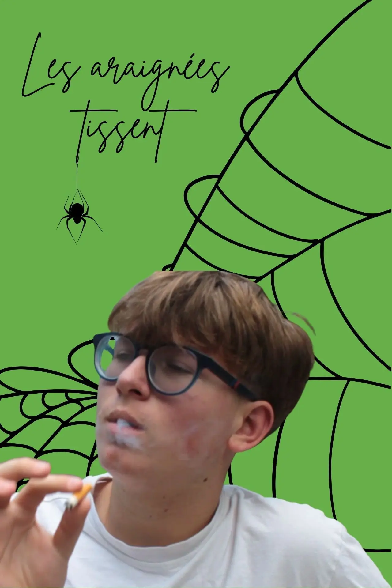 Movie poster "Les araignées tissent"