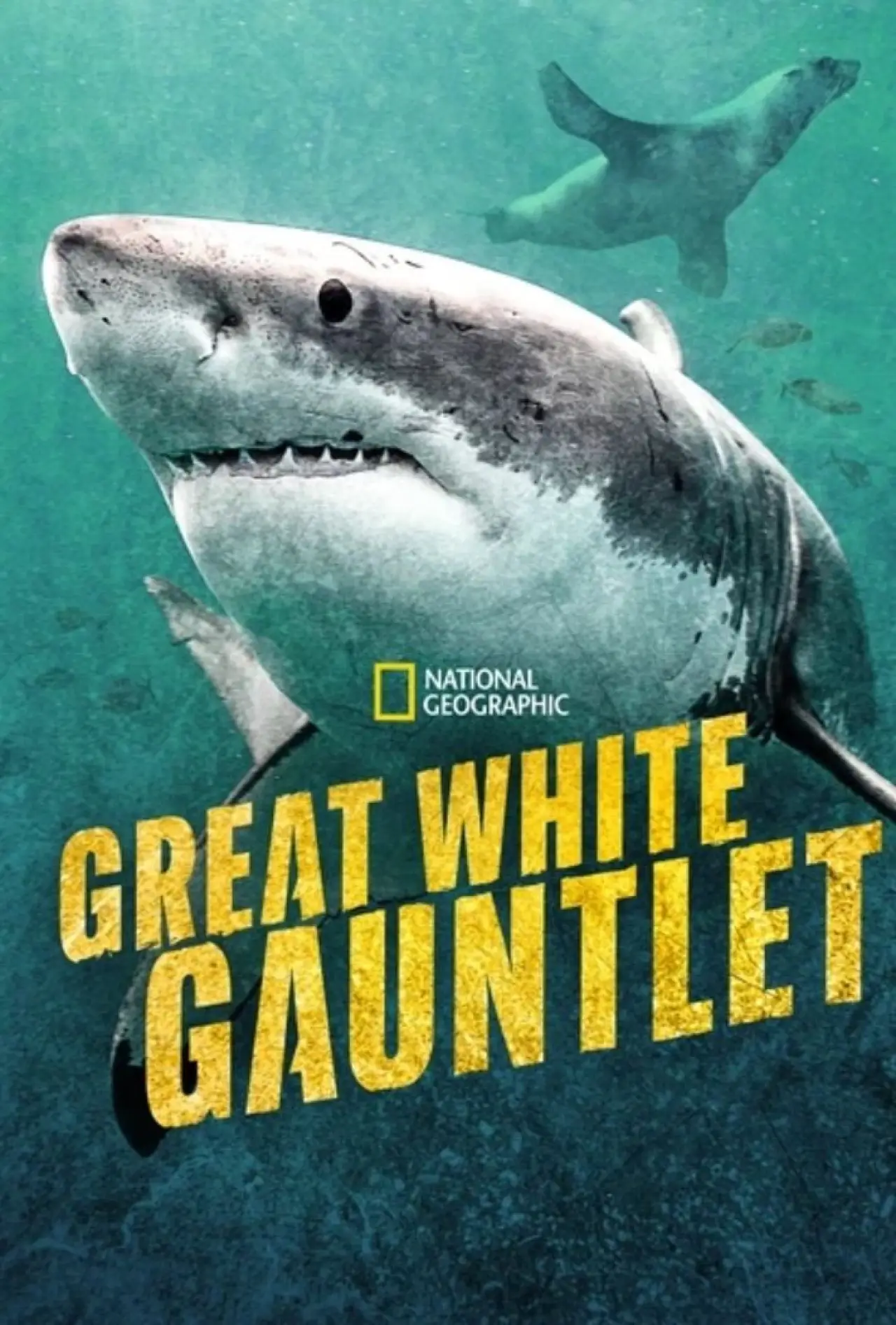 Movie poster "Great White Gauntlet"
