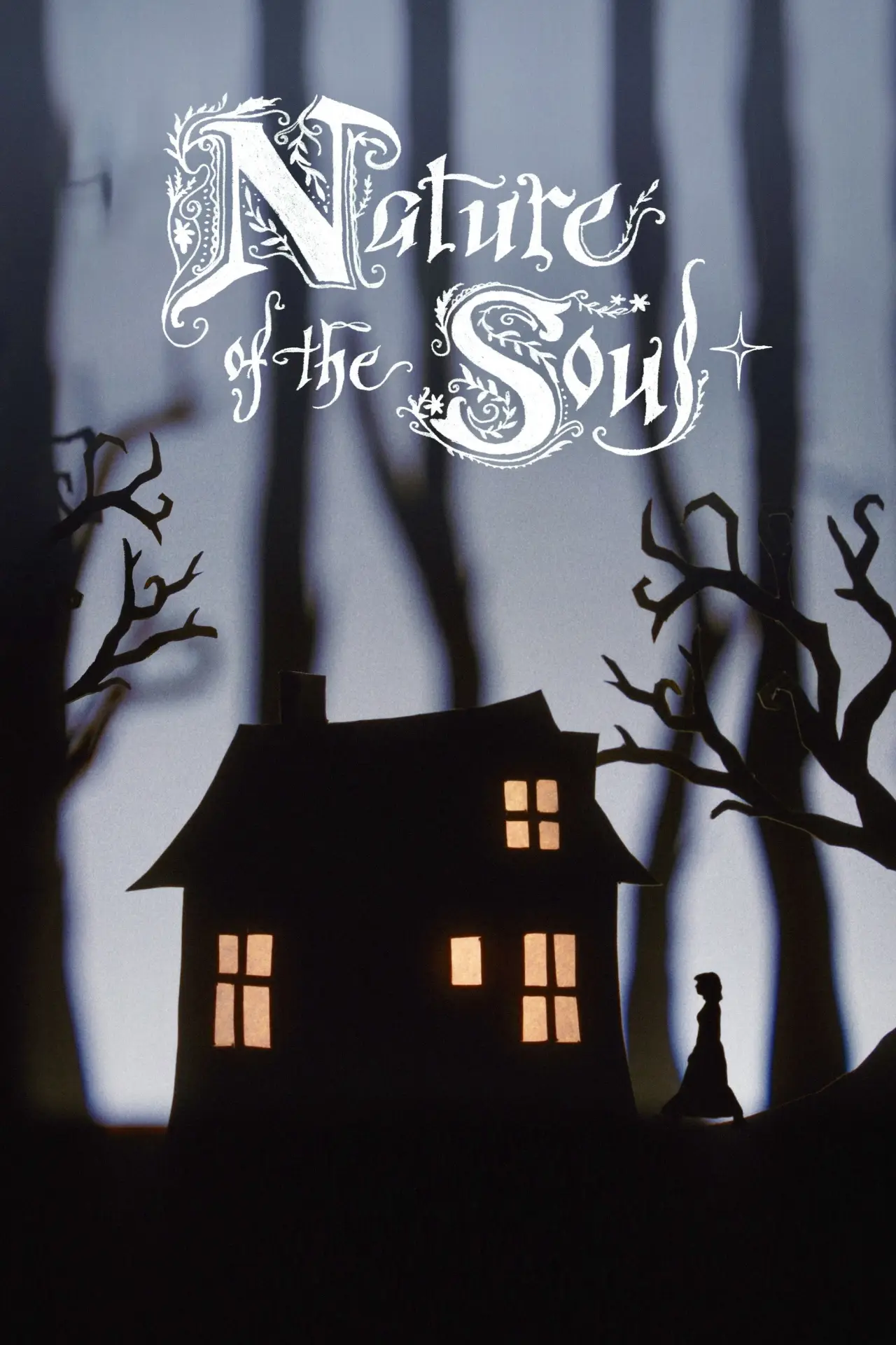 Movie poster "Nature of the Soul"