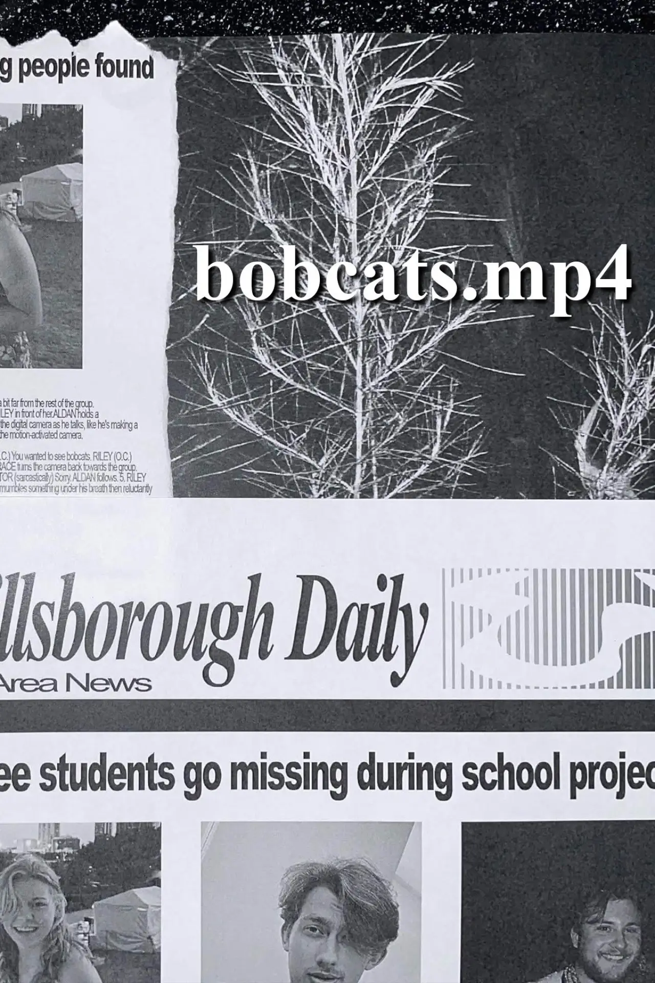 Movie poster "bobcats.mp4"